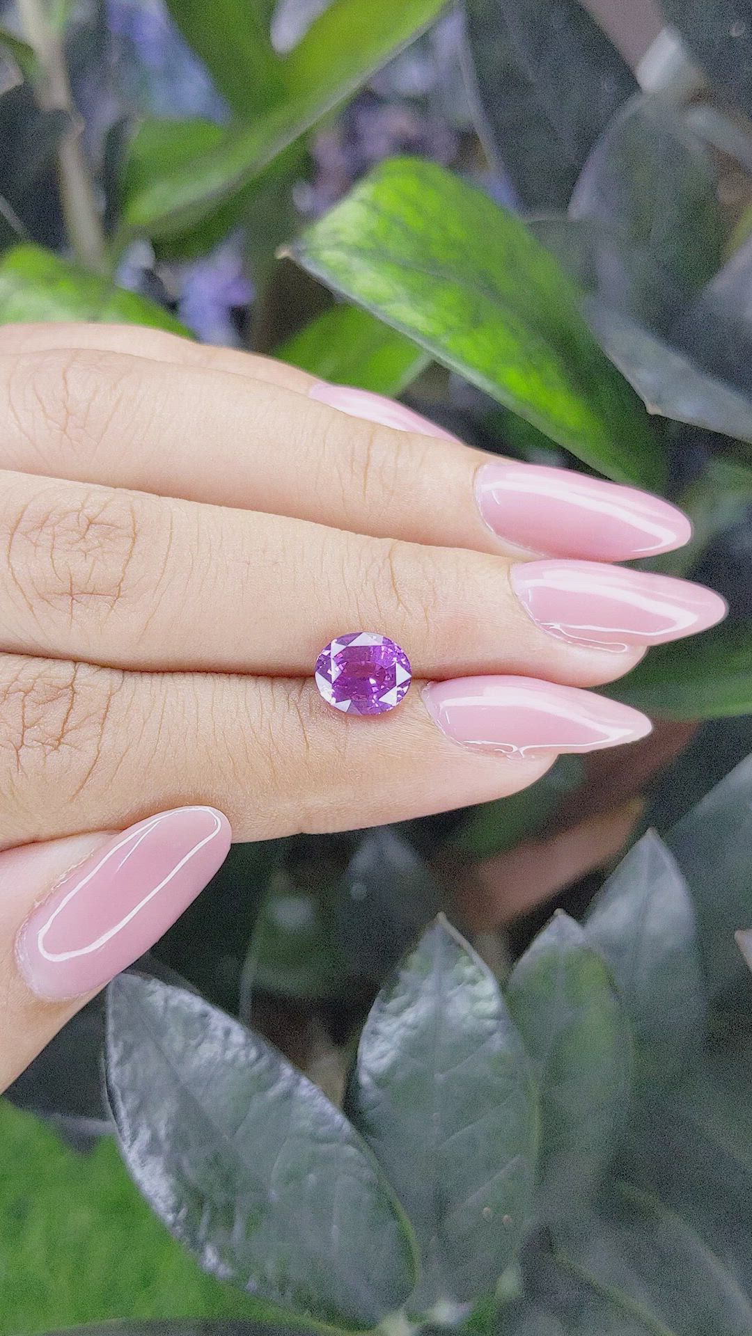 2.10 Ct. Purplish Pink Sapphire from Madagascar Size Video