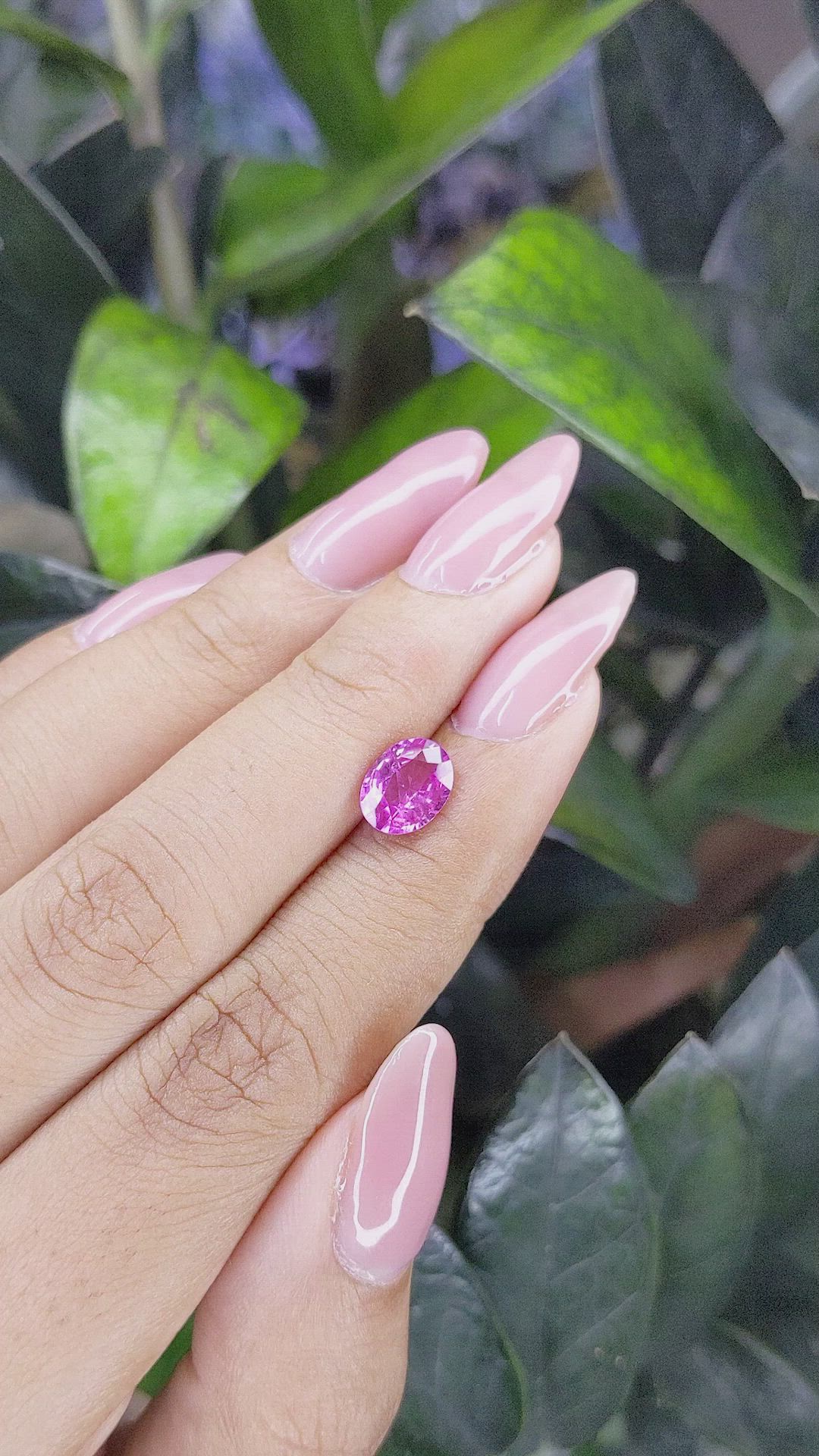 1.64 Ct. Pink Sapphire from Madagascar Size Video