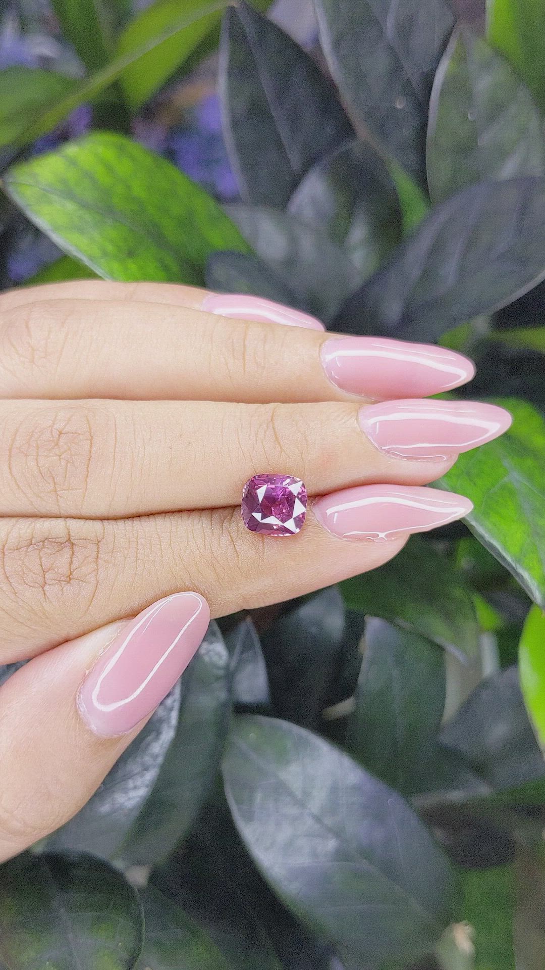2.53 Ct. Purplish Pink Sapphire from Madagascar Size Video