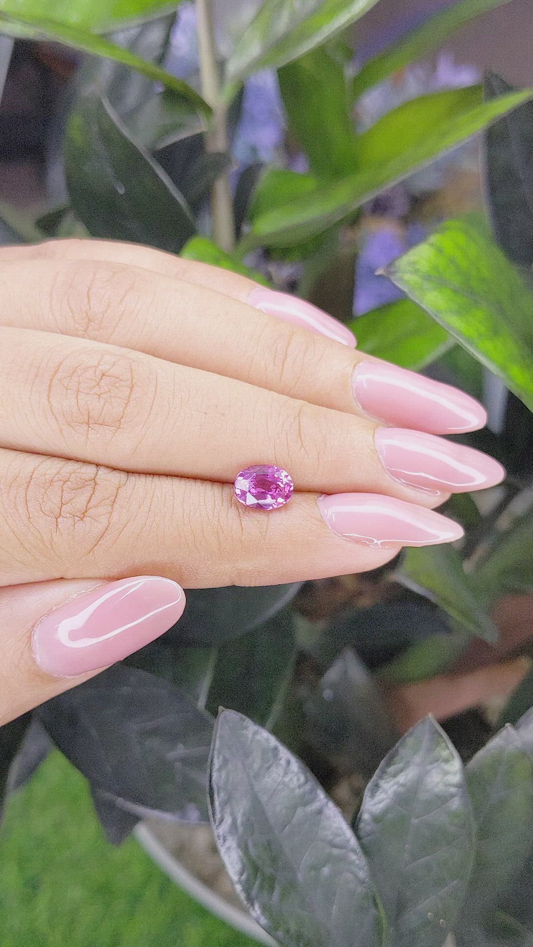 1.54 Ct. Purplish Pink Sapphire from Madagascar Size Video