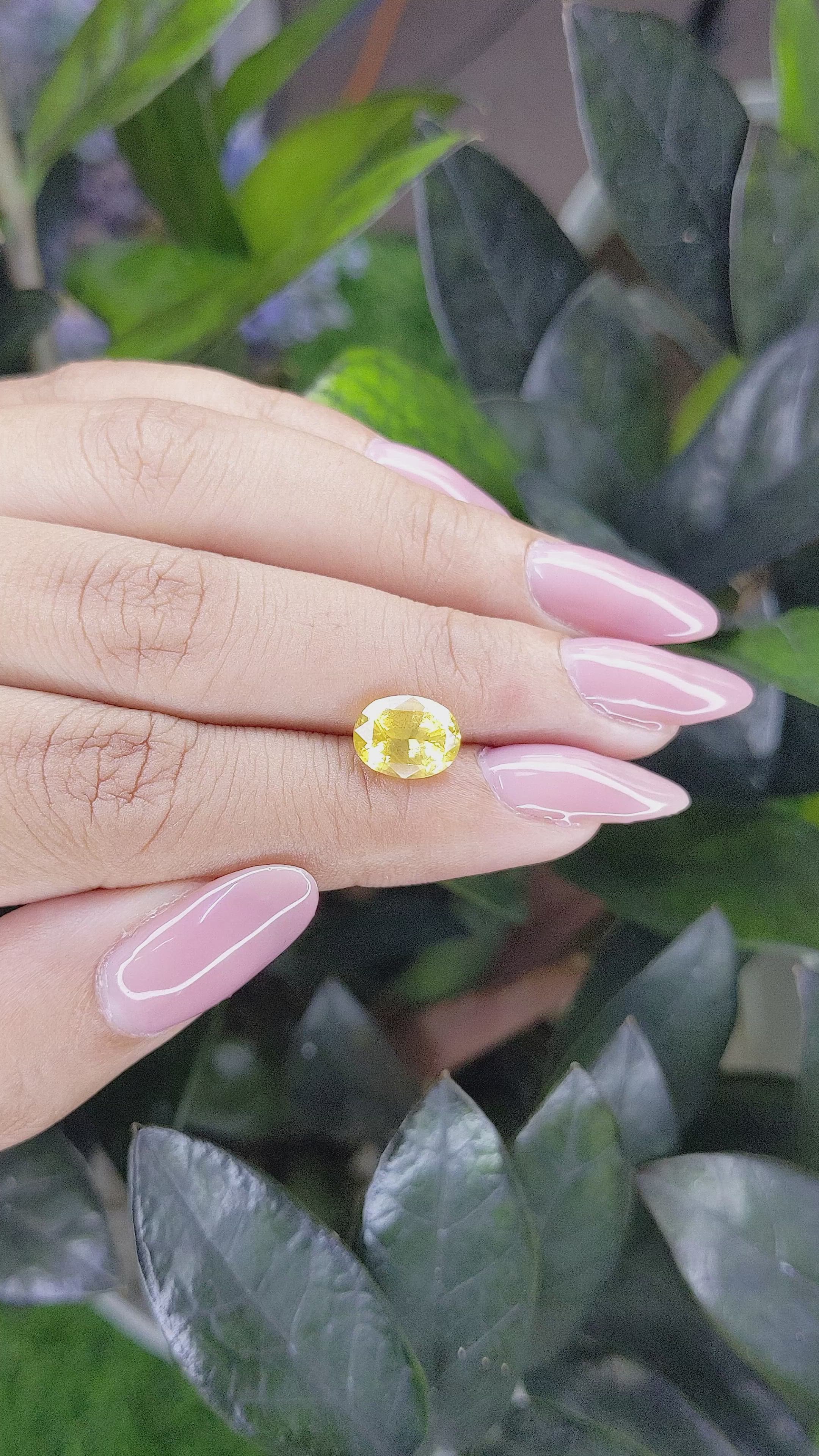 2.73 Ct. Yellow Sapphire from Madagascar Size Video