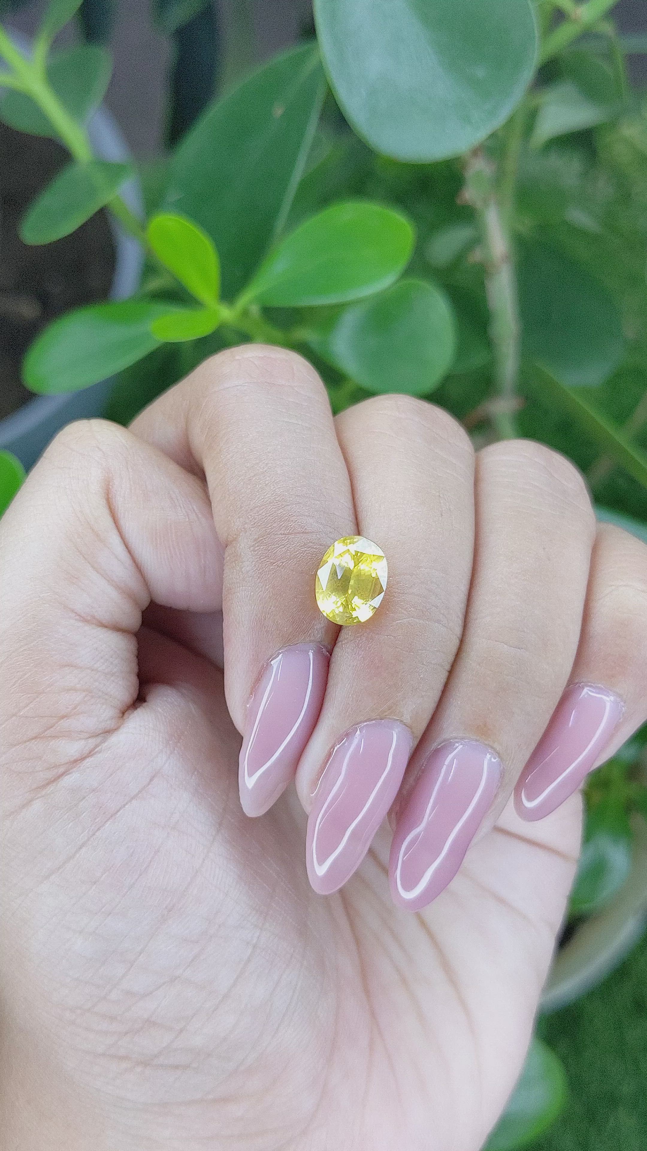 2.73 Ct. Yellow Sapphire from Madagascar Size Video