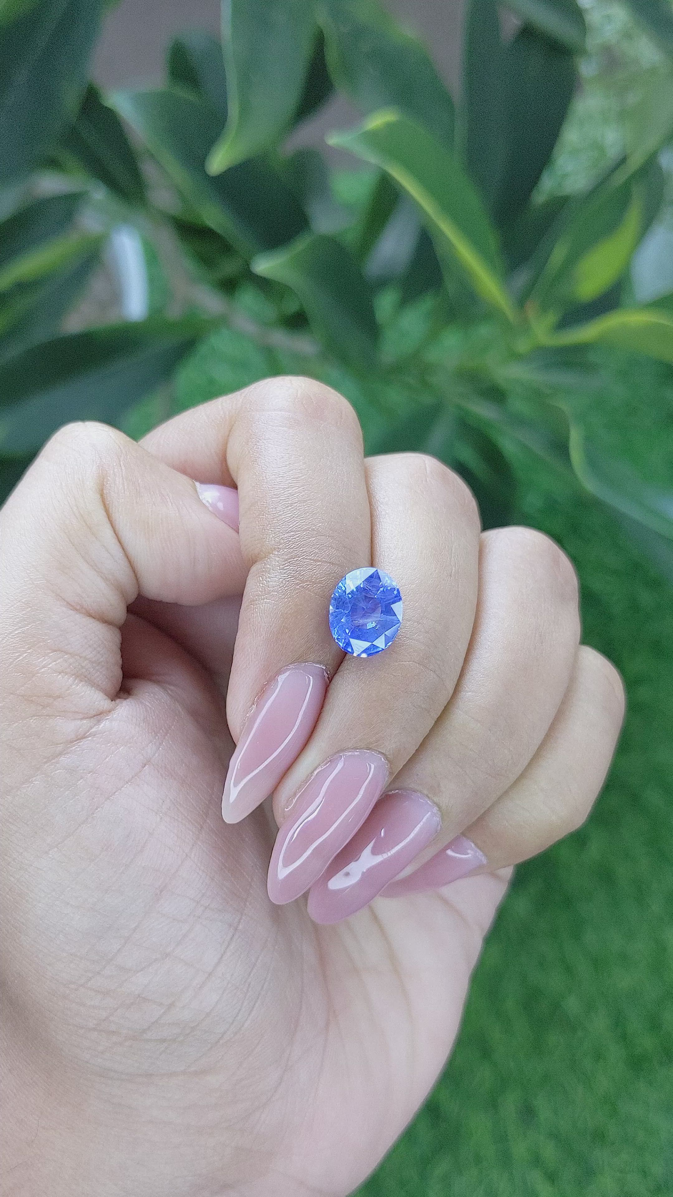 3.53 Ct. Blue Sapphire from Ceylon (Sri Lanka) Size Video