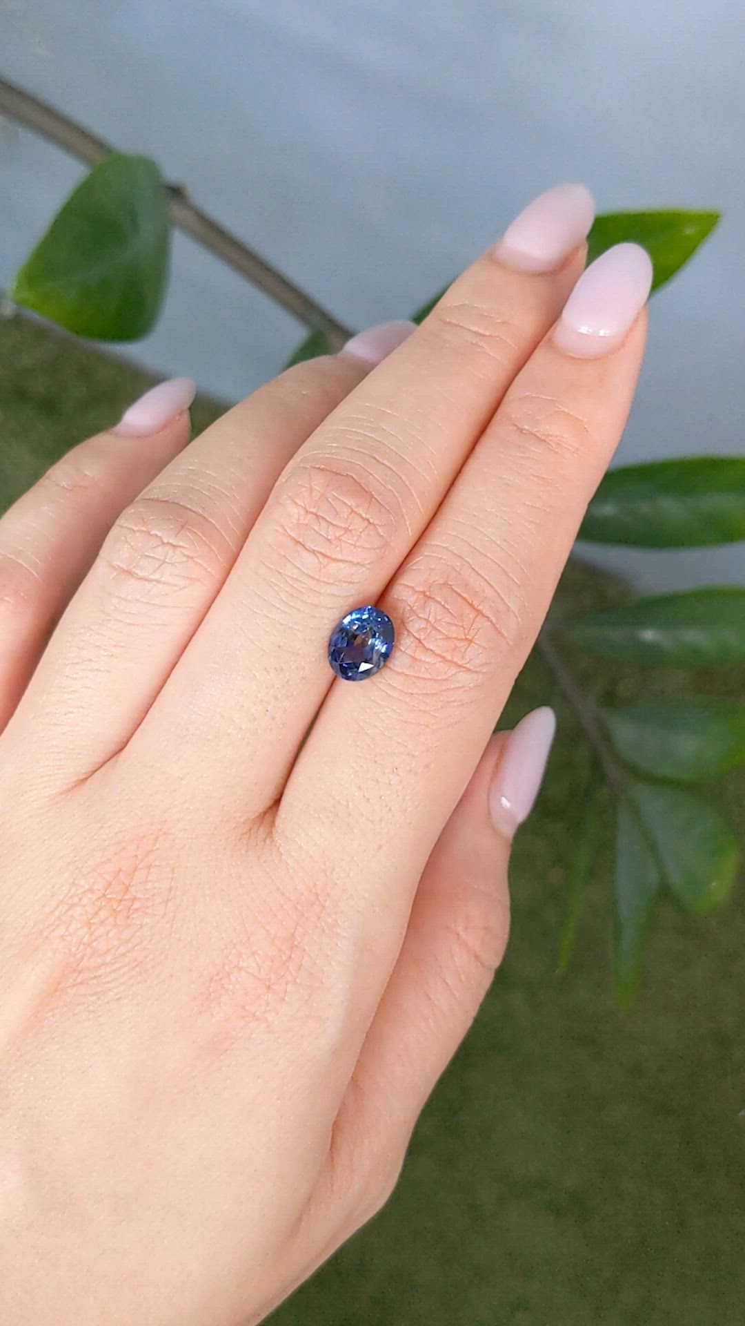 2.20 Ct. Bi Color Sapphire from Ceylon (Sri Lanka) Size Video