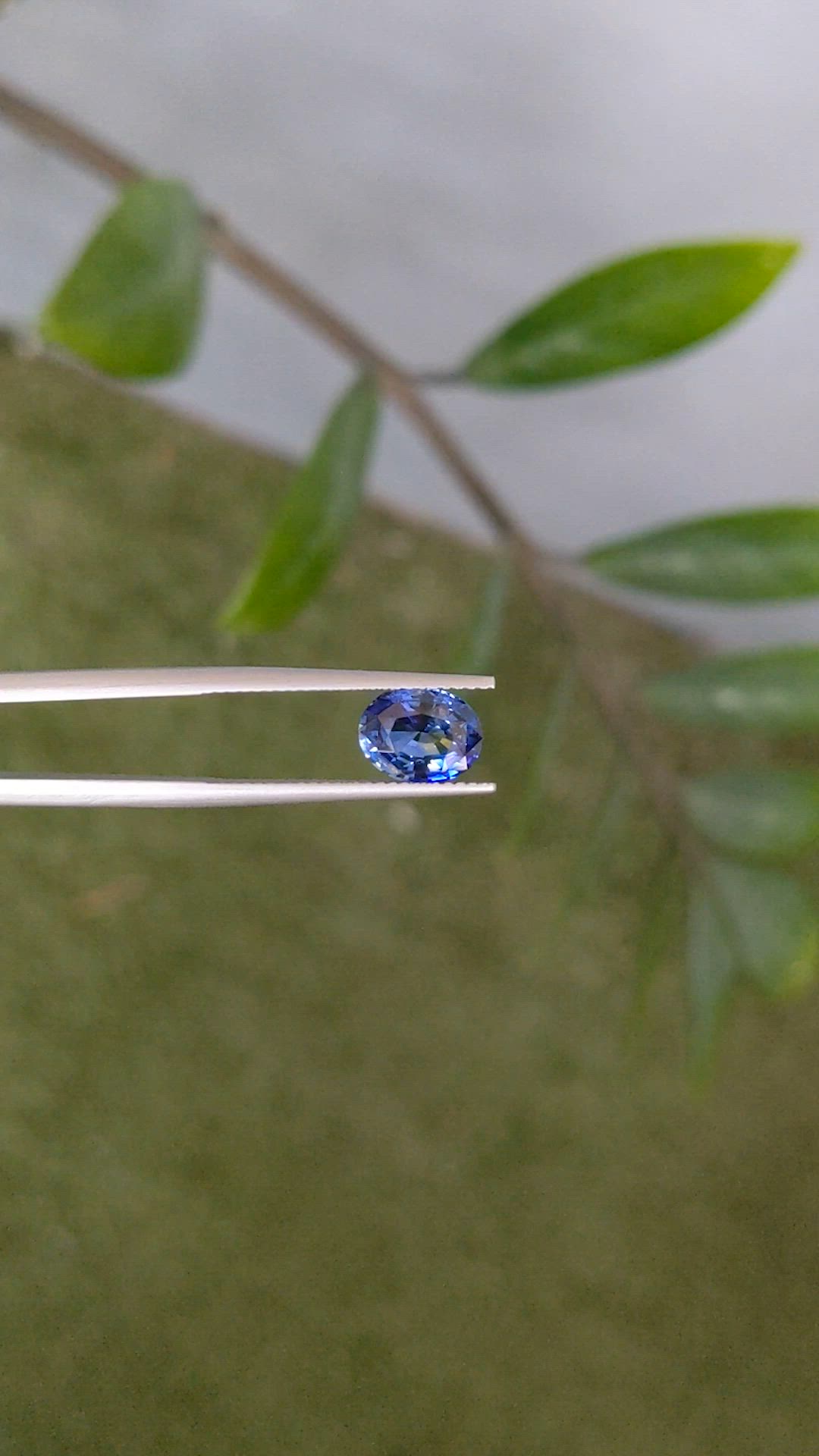 2.20 Ct. Bi Color Sapphire from Ceylon (Sri Lanka) Size Video