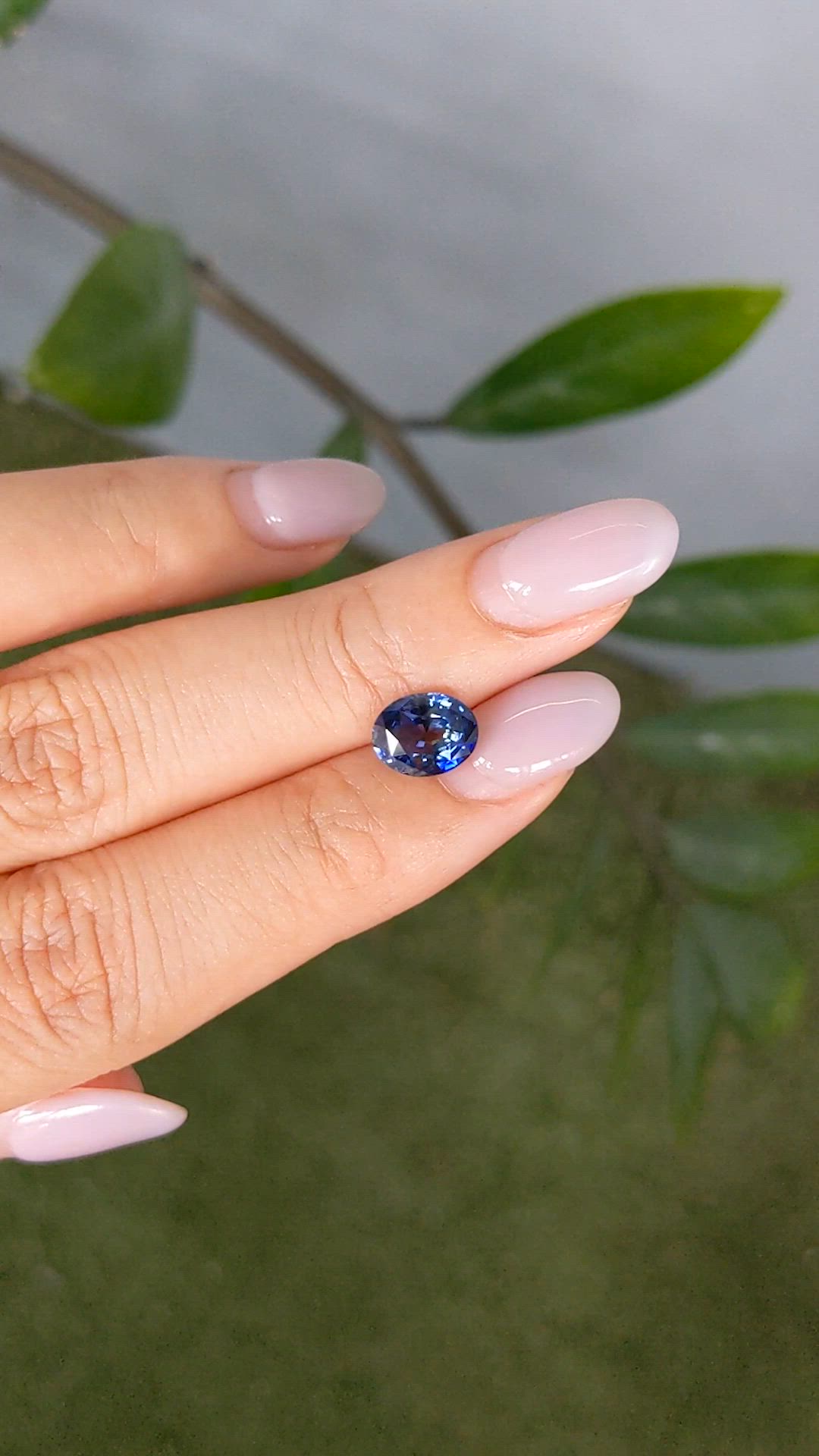 2.20 Ct. Bi Color Sapphire from Ceylon (Sri Lanka) Size Video