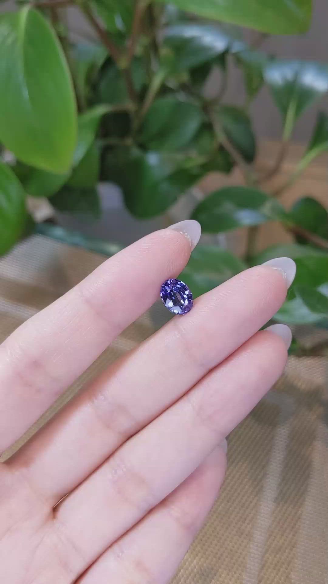 2.05 Ct. Violet Sapphire from Ceylon (Sri Lanka) Size Video