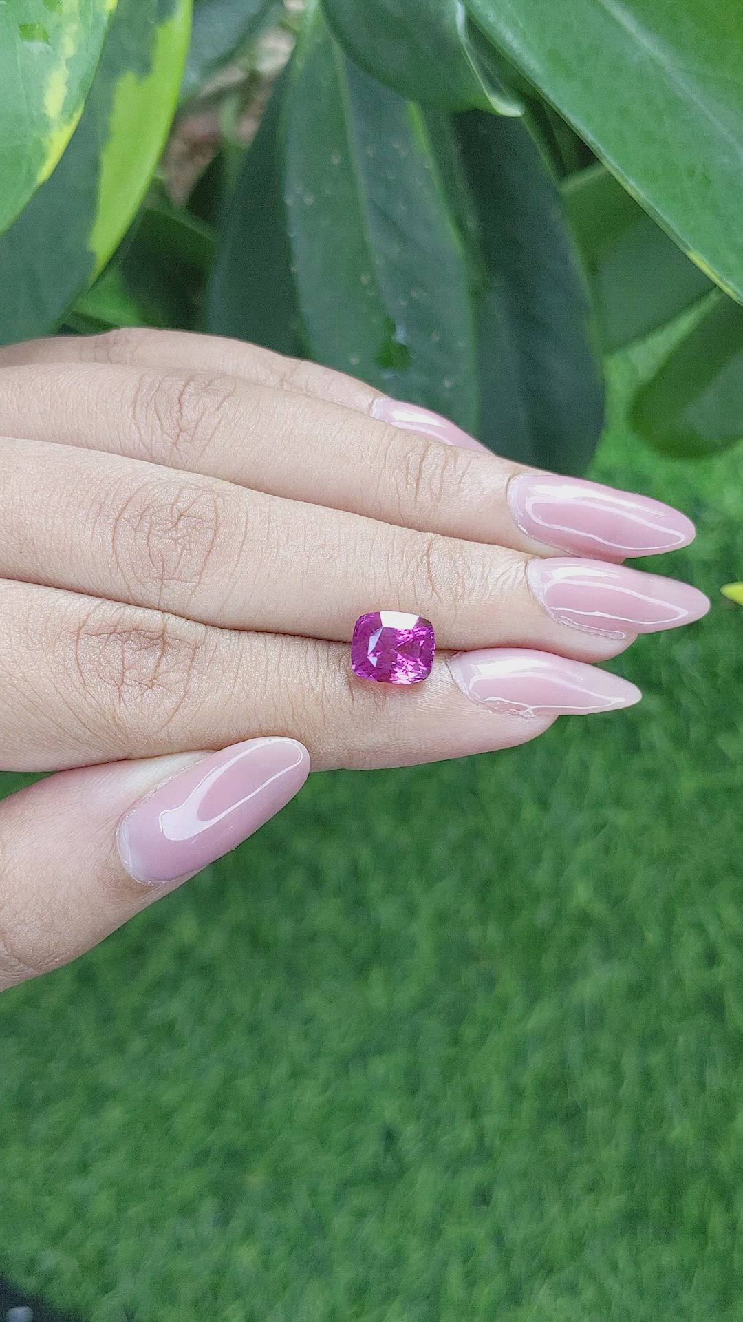 3.58 Ct. Pink Sapphire from Ceylon (Sri Lanka) Size Video