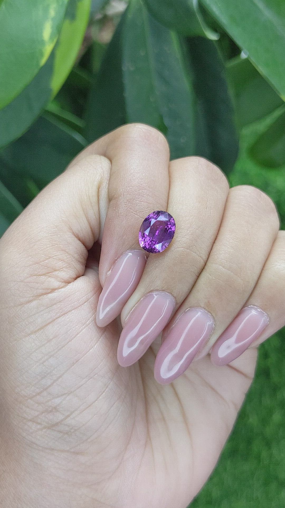 4.13 Ct. Purple Sapphire from Madagascar Size Video