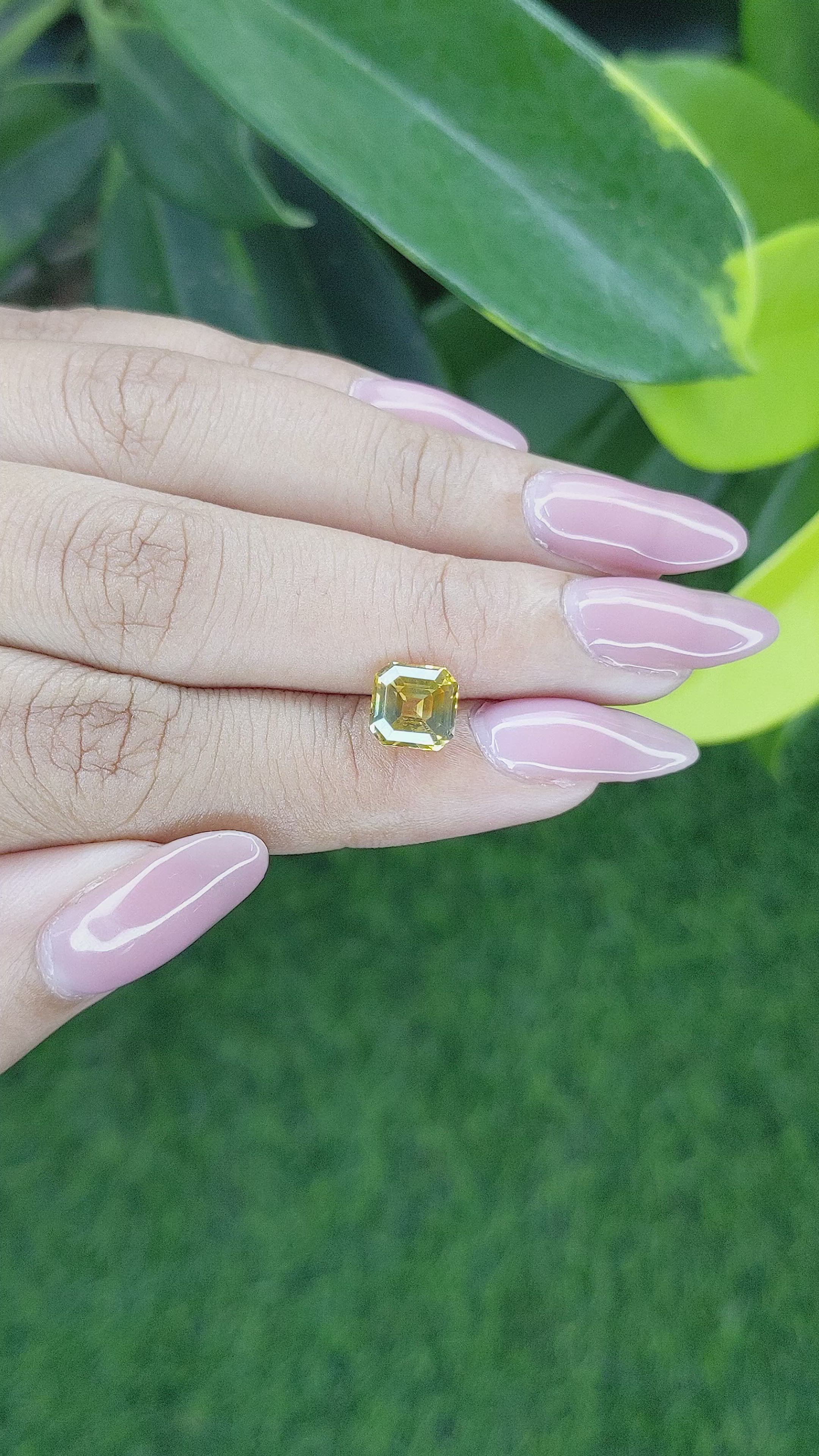 2.51 Ct. Yellow Sapphire from Ceylon (Sri Lanka) Size Video