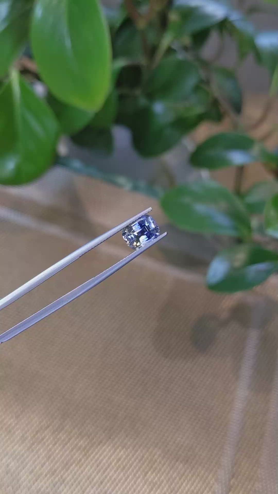 2.18 Ct. Bi Color Sapphire from Ceylon (Sri Lanka) Size Video