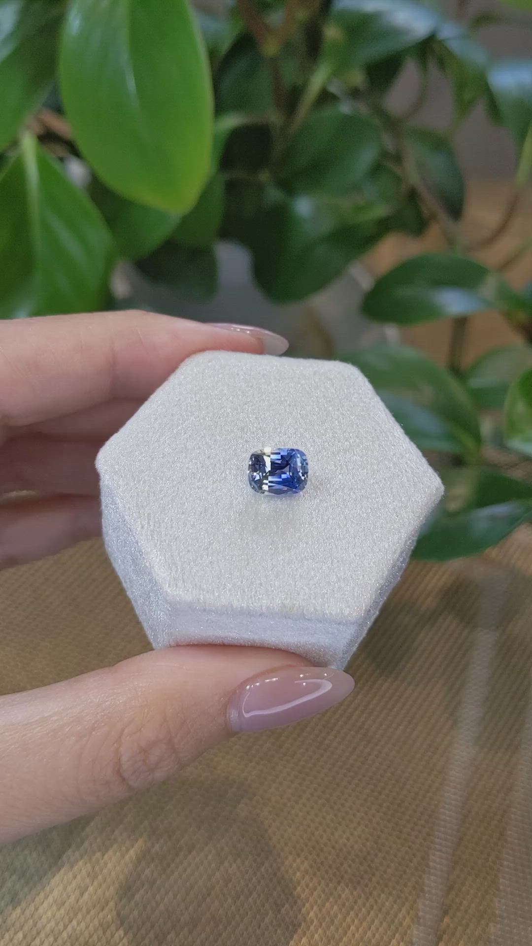 2.18 Ct. Bi Color Sapphire from Ceylon (Sri Lanka) Size Video