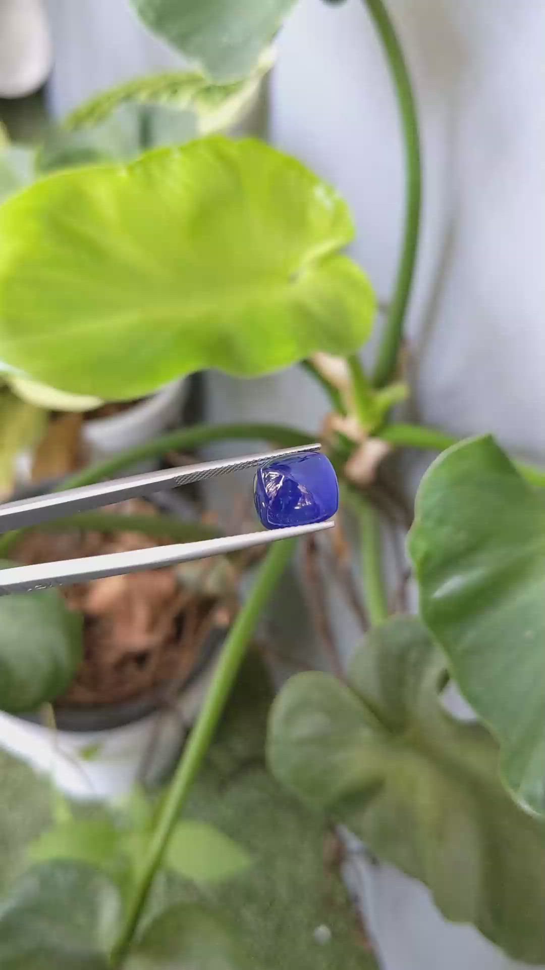 9.53 Ct. Blue Cabochon Sapphire from Ceylon (Sri Lanka) Size Video