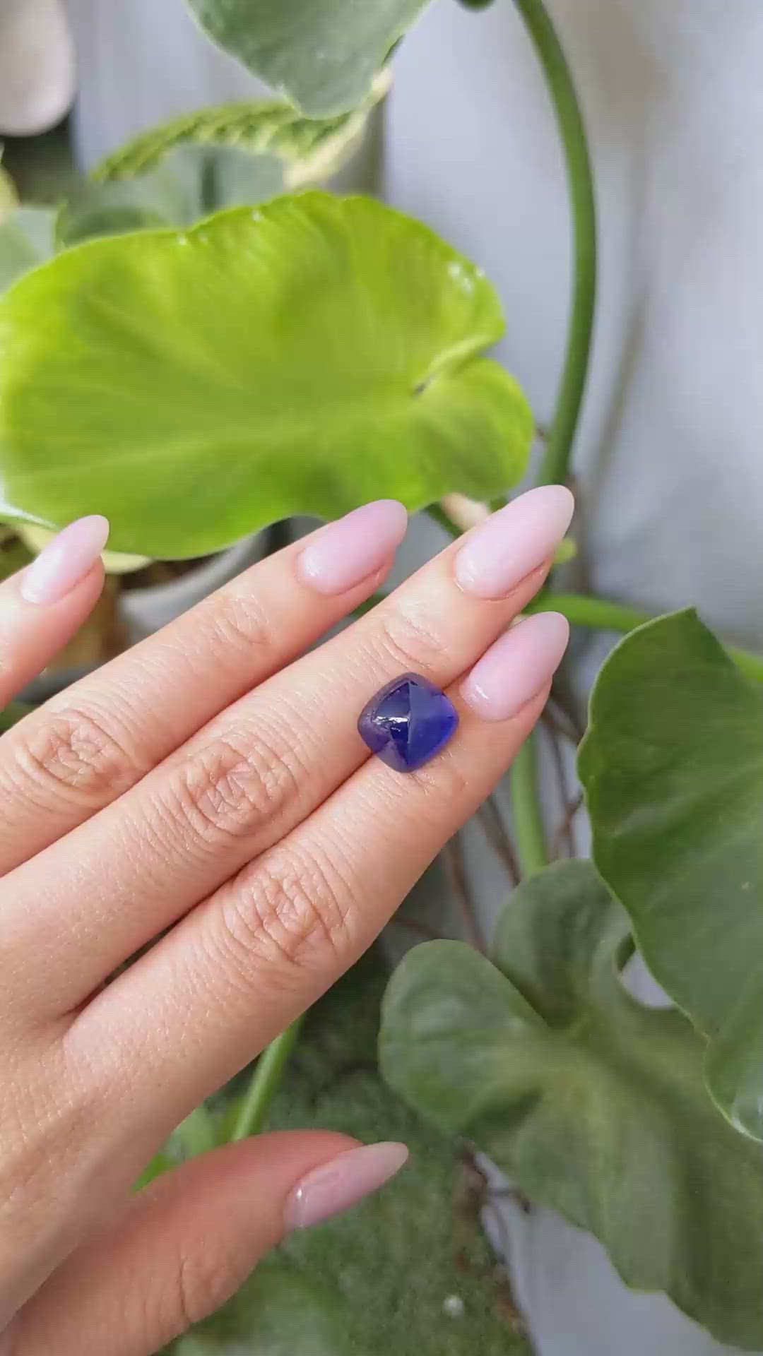 9.53 Ct. Blue Cabochon Sapphire from Ceylon (Sri Lanka) Size Video