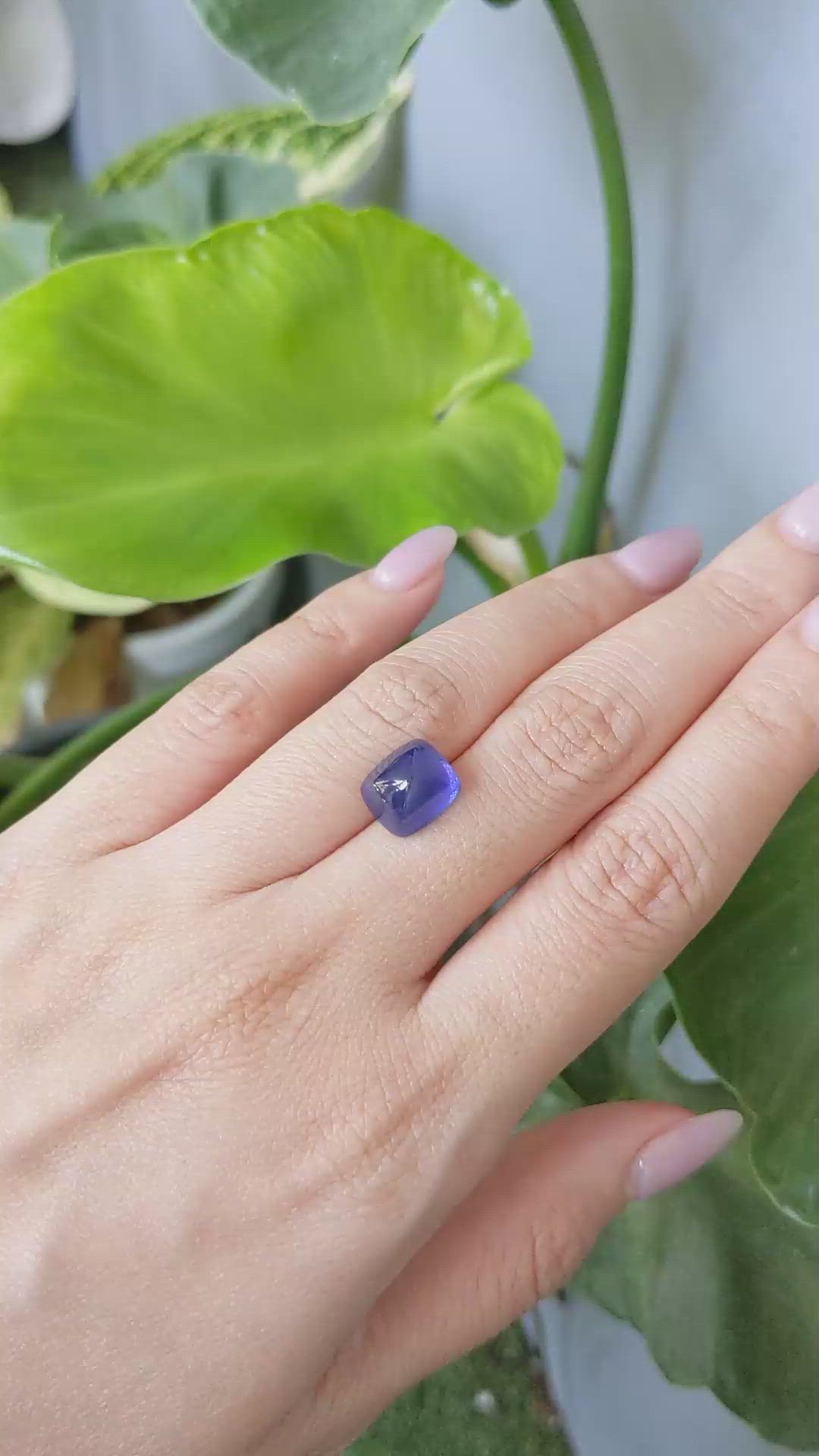 7.65 Ct. Blue Cabochon Sapphire from Ceylon (Sri Lanka) Size Video