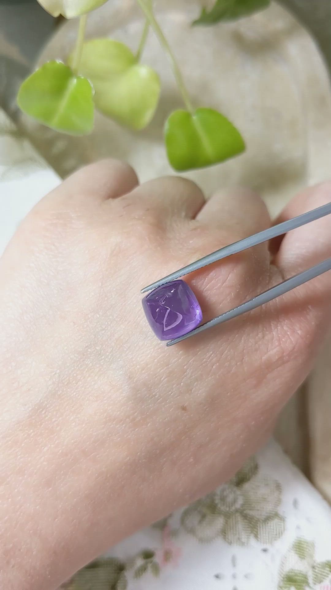 12.37 Ct. Purple Cabochon Sapphire from Ceylon (Sri Lanka) Size Video