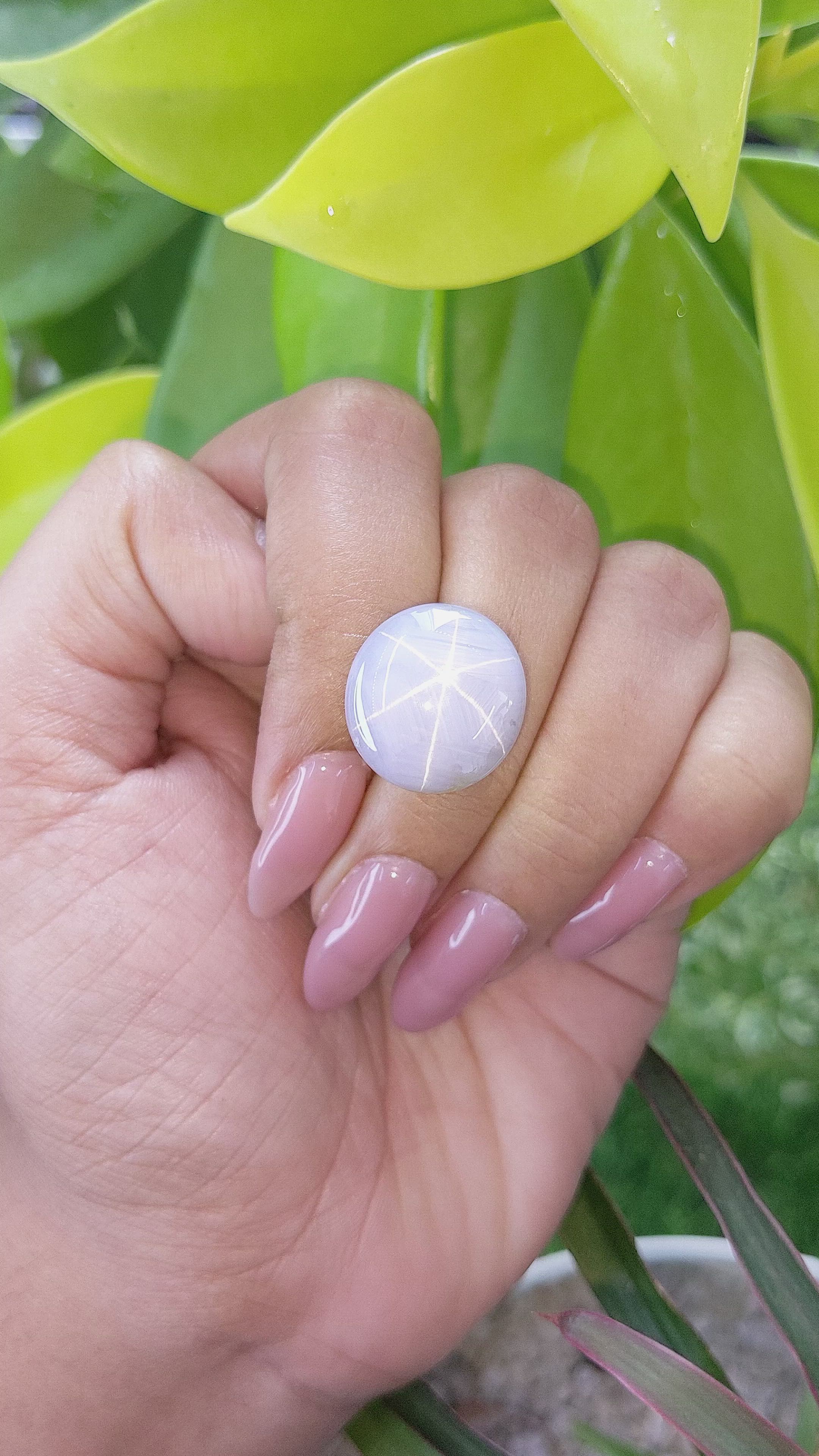 30.71 Ct. Grey Star Sapphire from Ceylon (Sri Lanka) Size Video