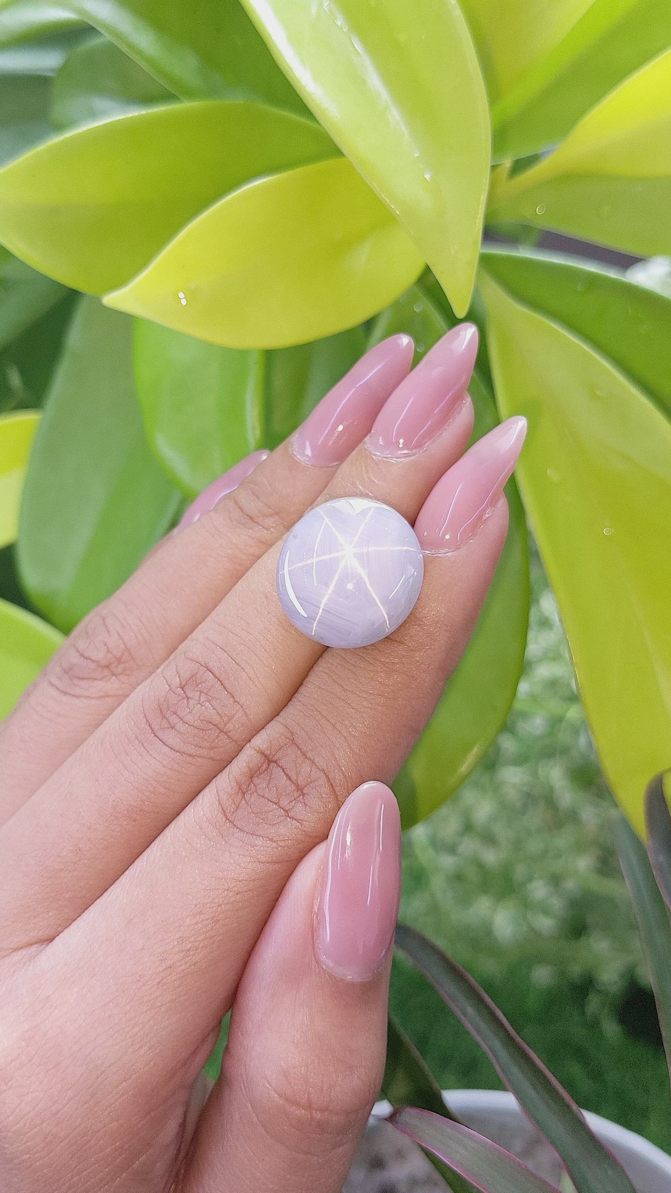 30.71 Ct. Grey Star Sapphire from Ceylon (Sri Lanka) Size Video