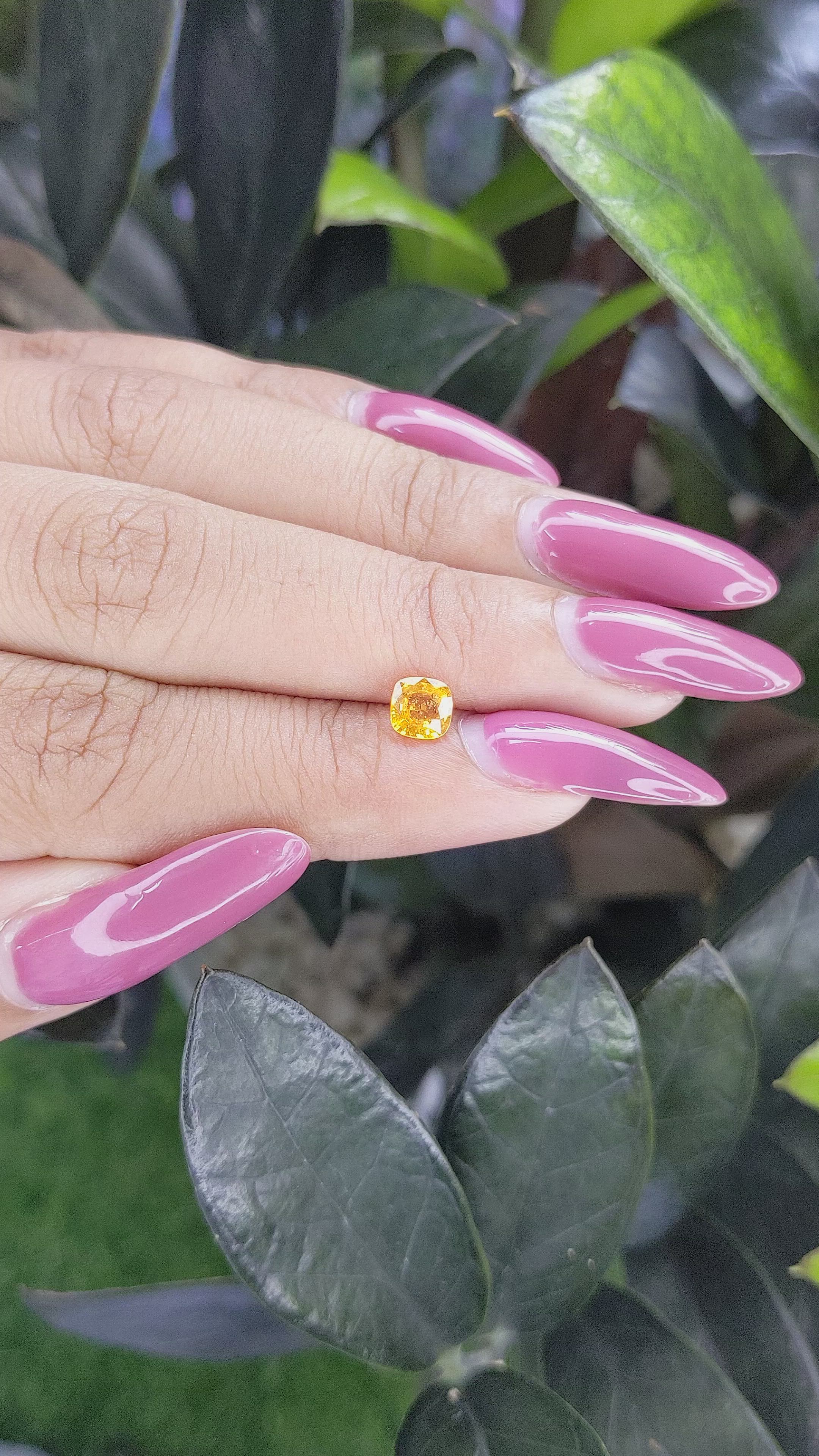 0.66 Ct. Orangish Yellow Sapphire from Ceylon (Sri Lanka) Size Video