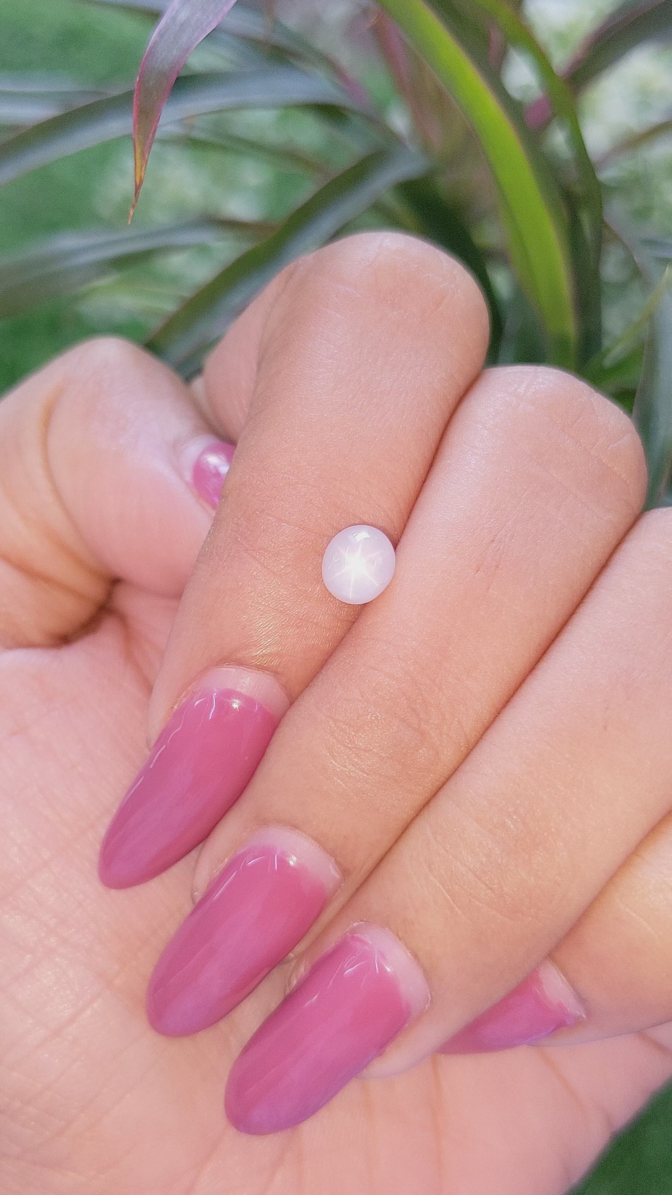 1.49 Ct. White Star Sapphire from Ceylon (Sri Lanka) Size Video