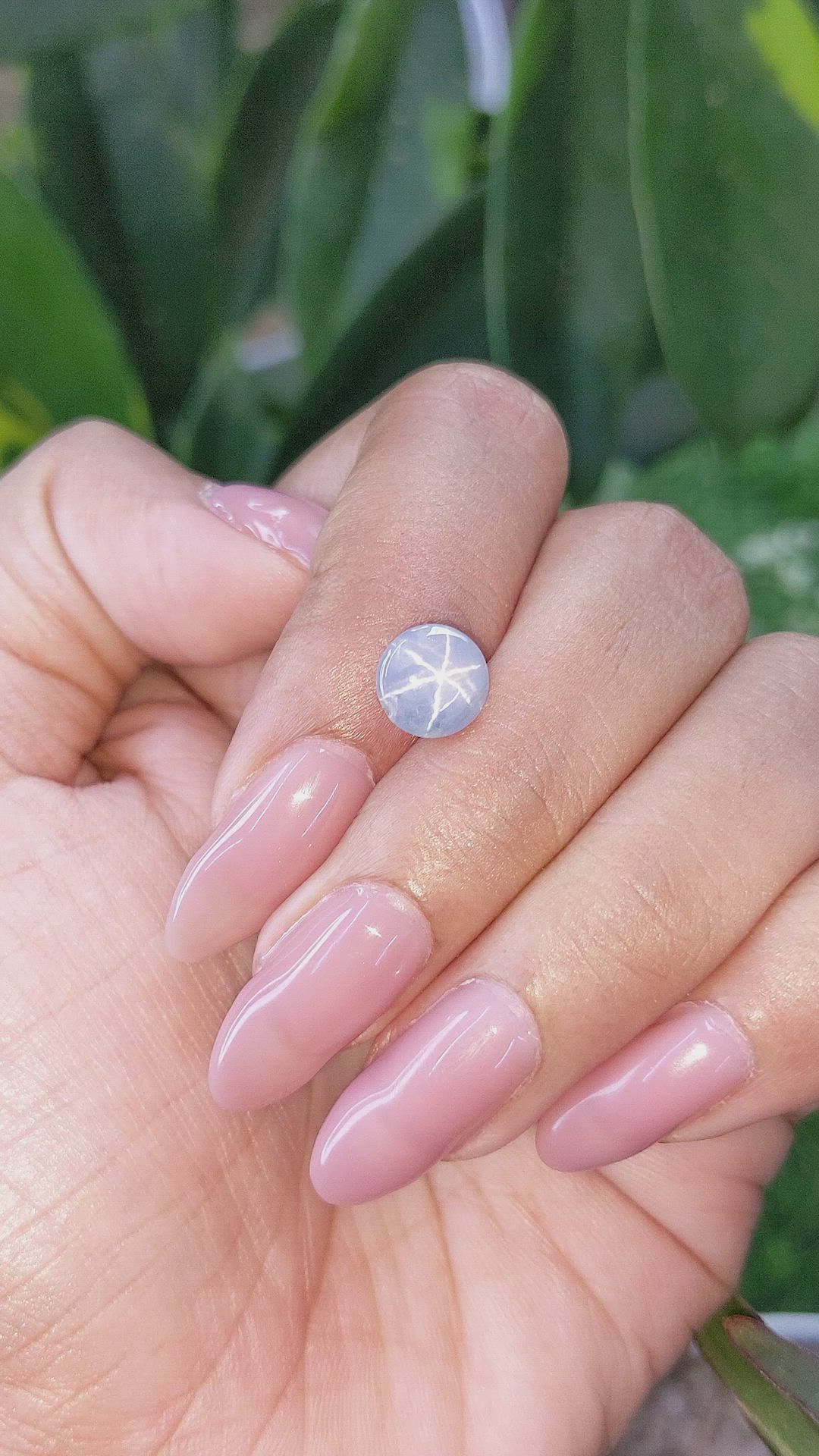 3.00 Ct. Greyish Blue Star Sapphire from Ceylon (Sri Lanka) Size Video