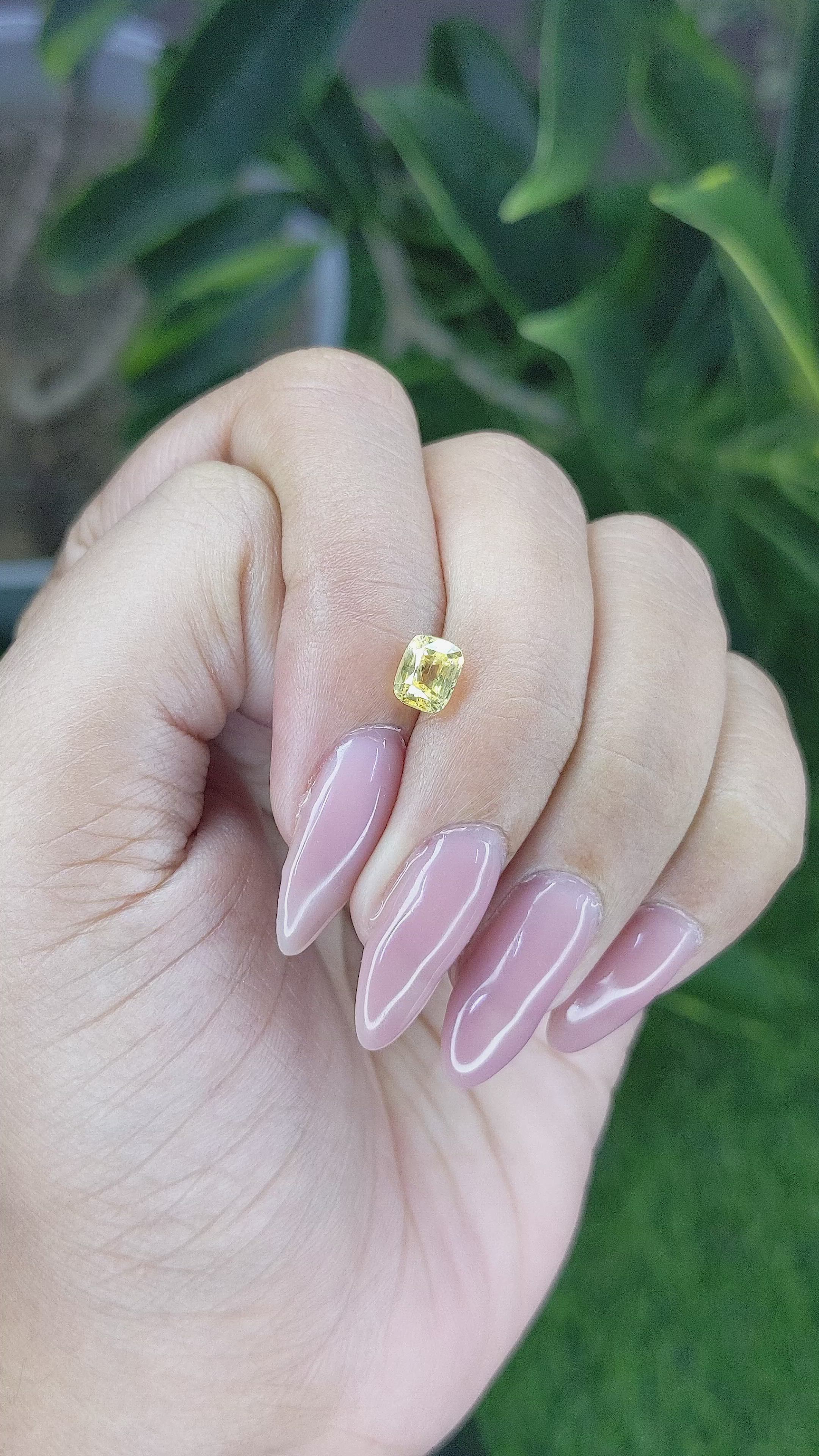 1.12 Ct. Yellow Sapphire from Ceylon (Sri Lanka) Size Video