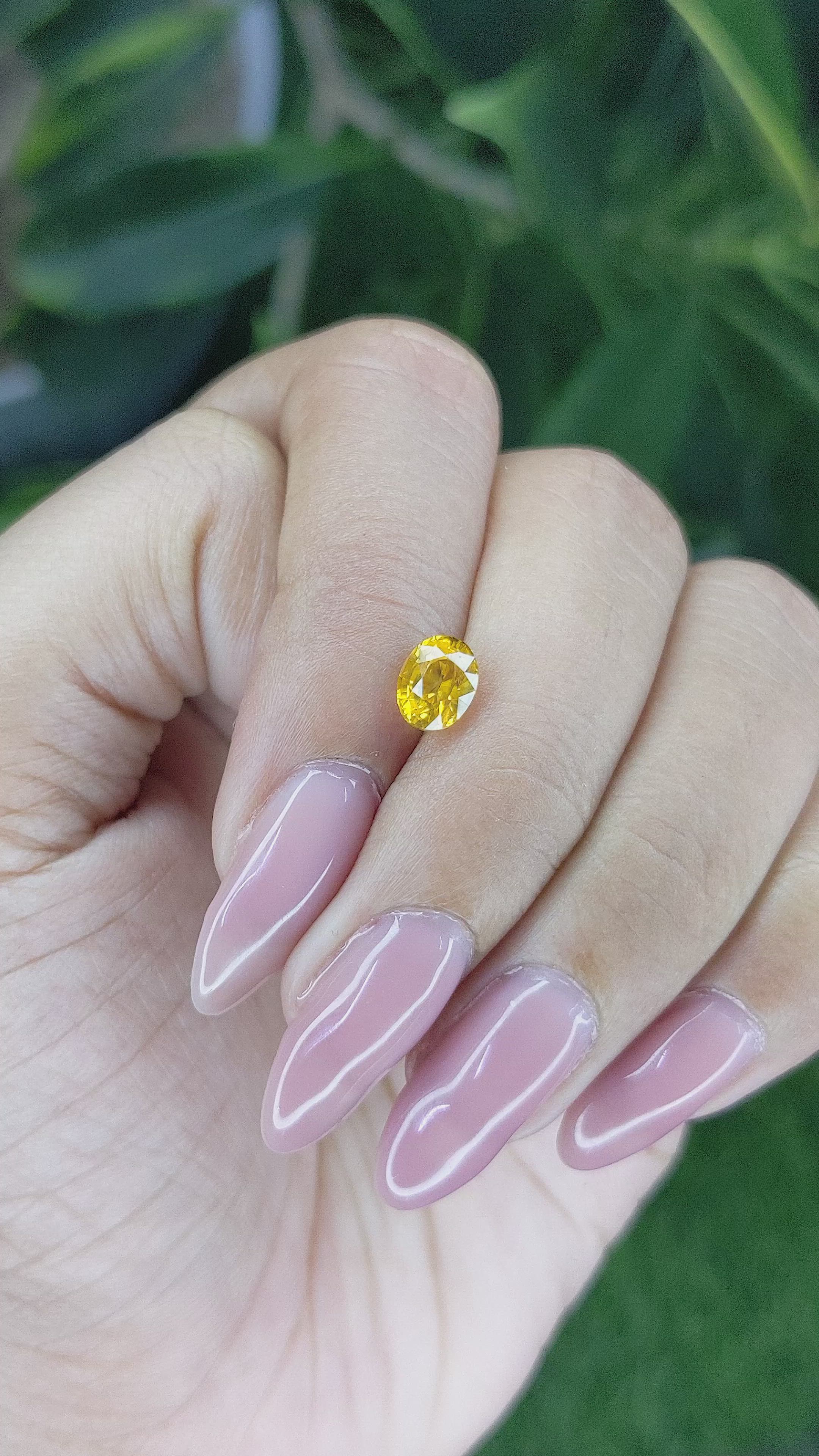 1.12 Ct. Orangish Yellow Sapphire from Ceylon (Sri Lanka) Size Video