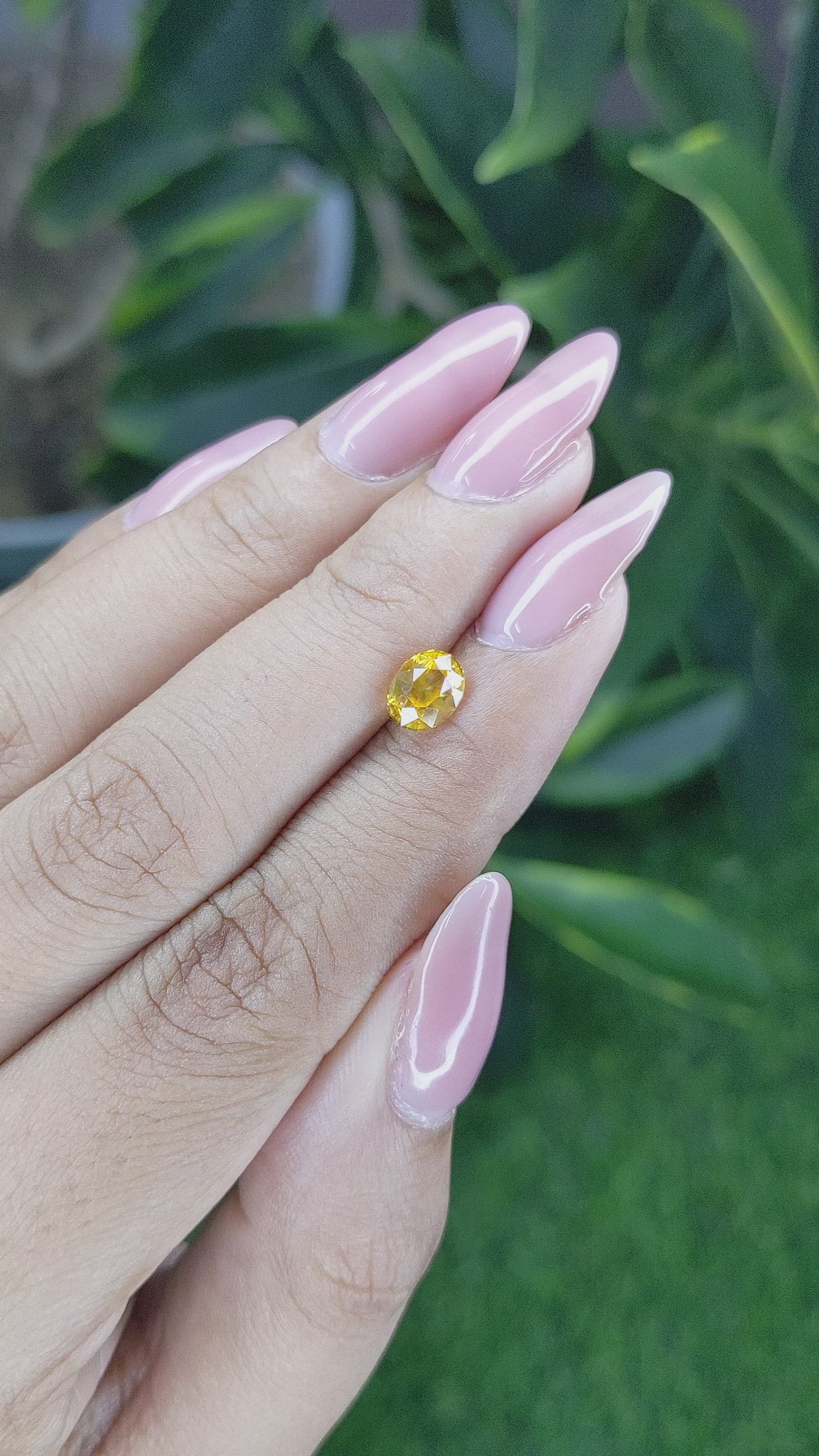 1.12 Ct. Orangish Yellow Sapphire from Ceylon (Sri Lanka) Size Video