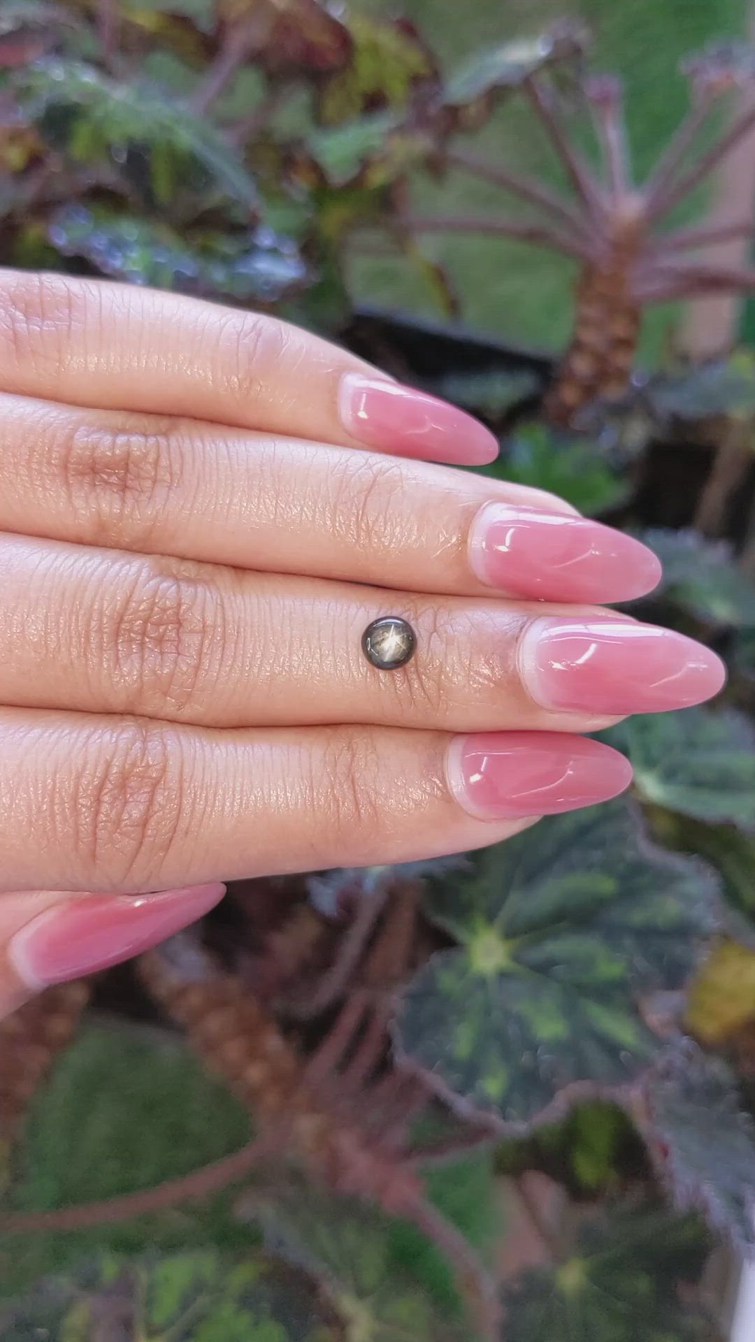 1.08 Ct. Black Star Sapphire from Ceylon (Sri Lanka) Size Video