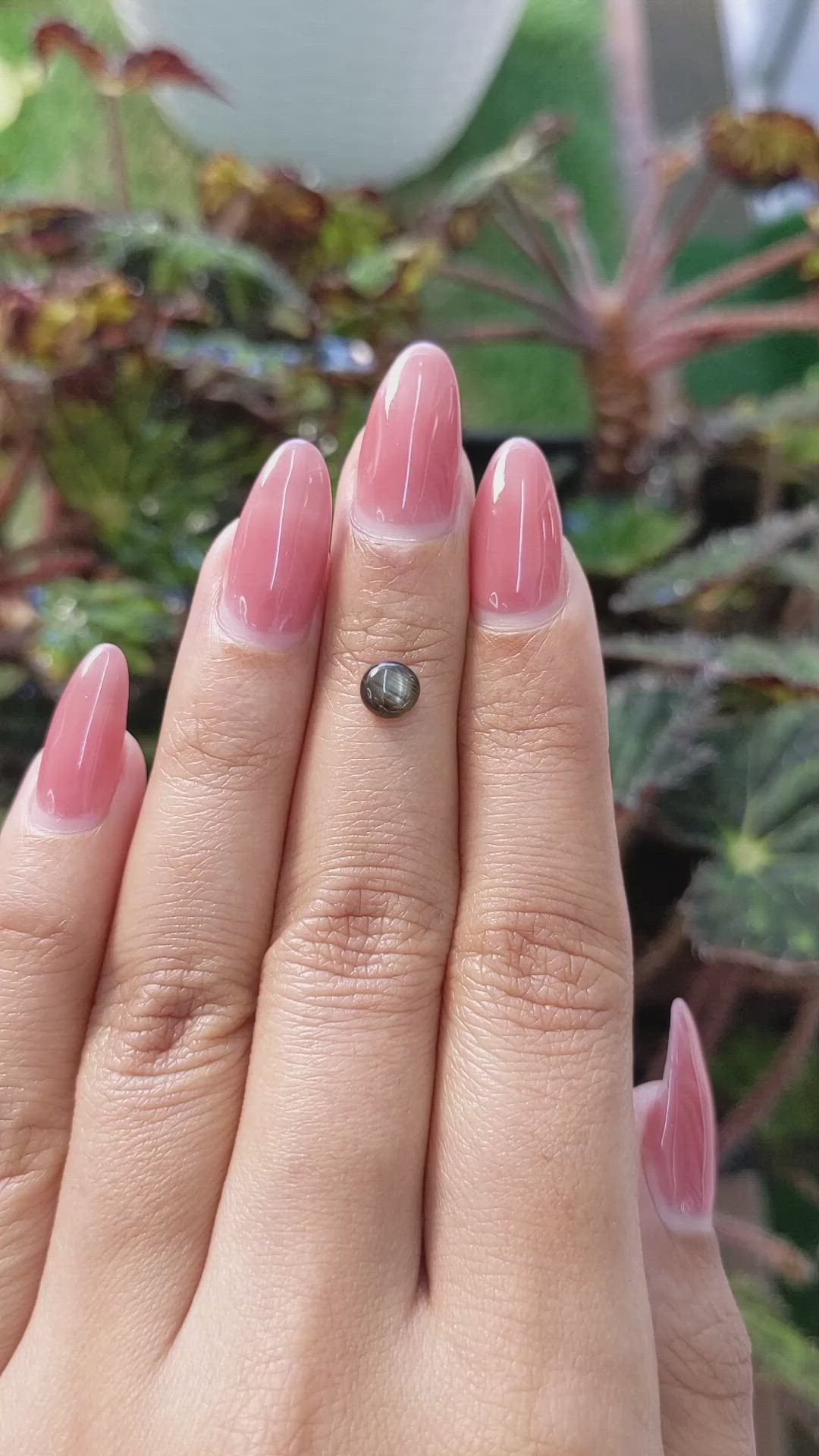 1.08 Ct. Black Star Sapphire from Ceylon (Sri Lanka) Size Video