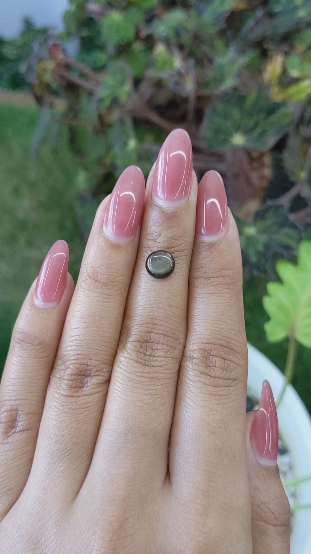 2.04 Ct. Black Star Sapphire from Ceylon (Sri Lanka) Size Video