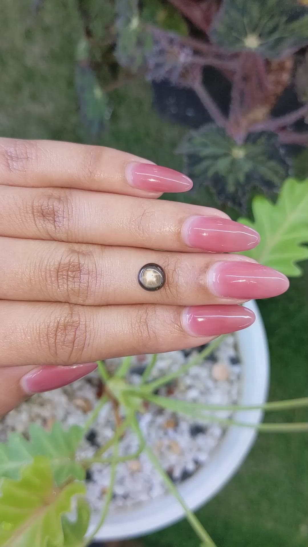 2.04 Ct. Black Star Sapphire from Ceylon (Sri Lanka) Size Video