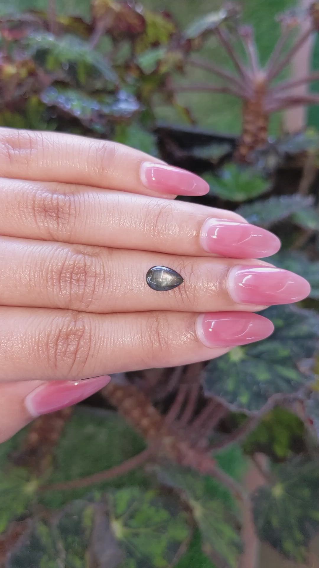 1.80 Ct. Black Star Sapphire from Ceylon (Sri Lanka) Size Video