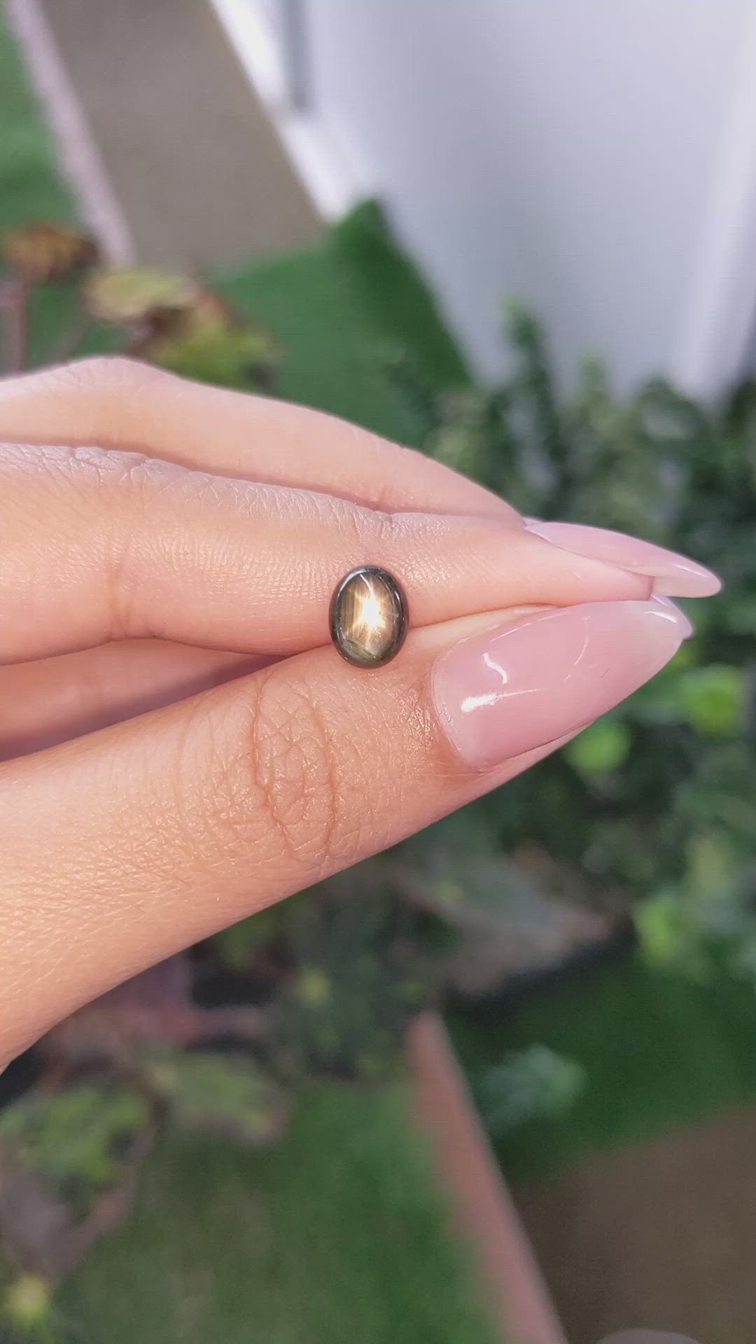 2.54 Ct. Brown Star Sapphire from Ceylon (Sri Lanka) Size Video