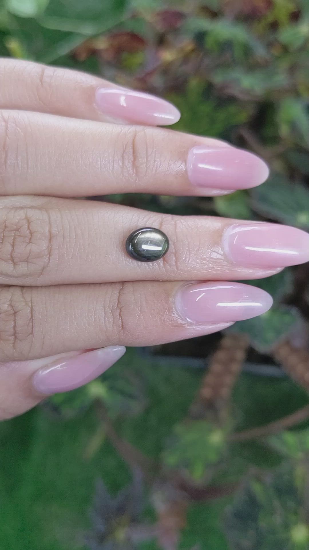 2.54 Ct. Brown Star Sapphire from Ceylon (Sri Lanka) Size Video