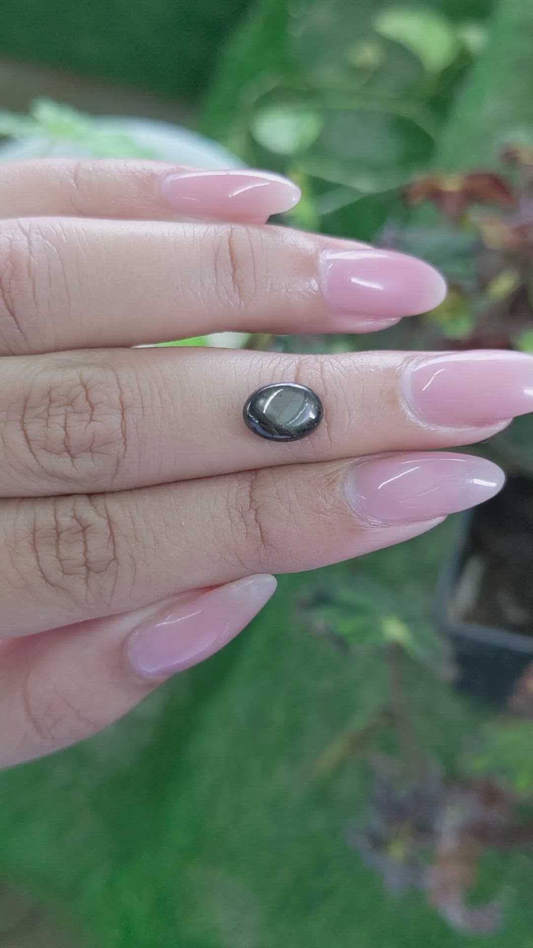 2.38 Ct. Brown Star Sapphire from Ceylon (Sri Lanka) Size Video