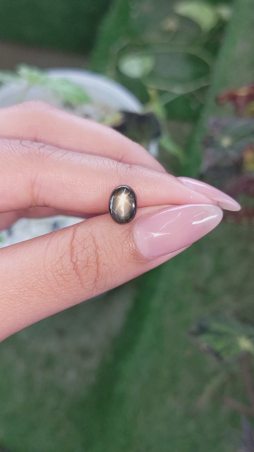 2.38 Ct. Brown Star Sapphire from Ceylon (Sri Lanka) Size Video