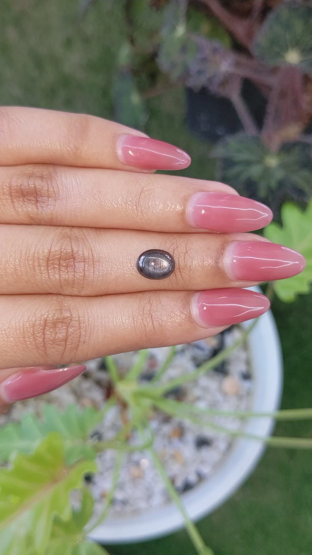 2.28 Ct. Black Star Sapphire from Ceylon (Sri Lanka) Size Video