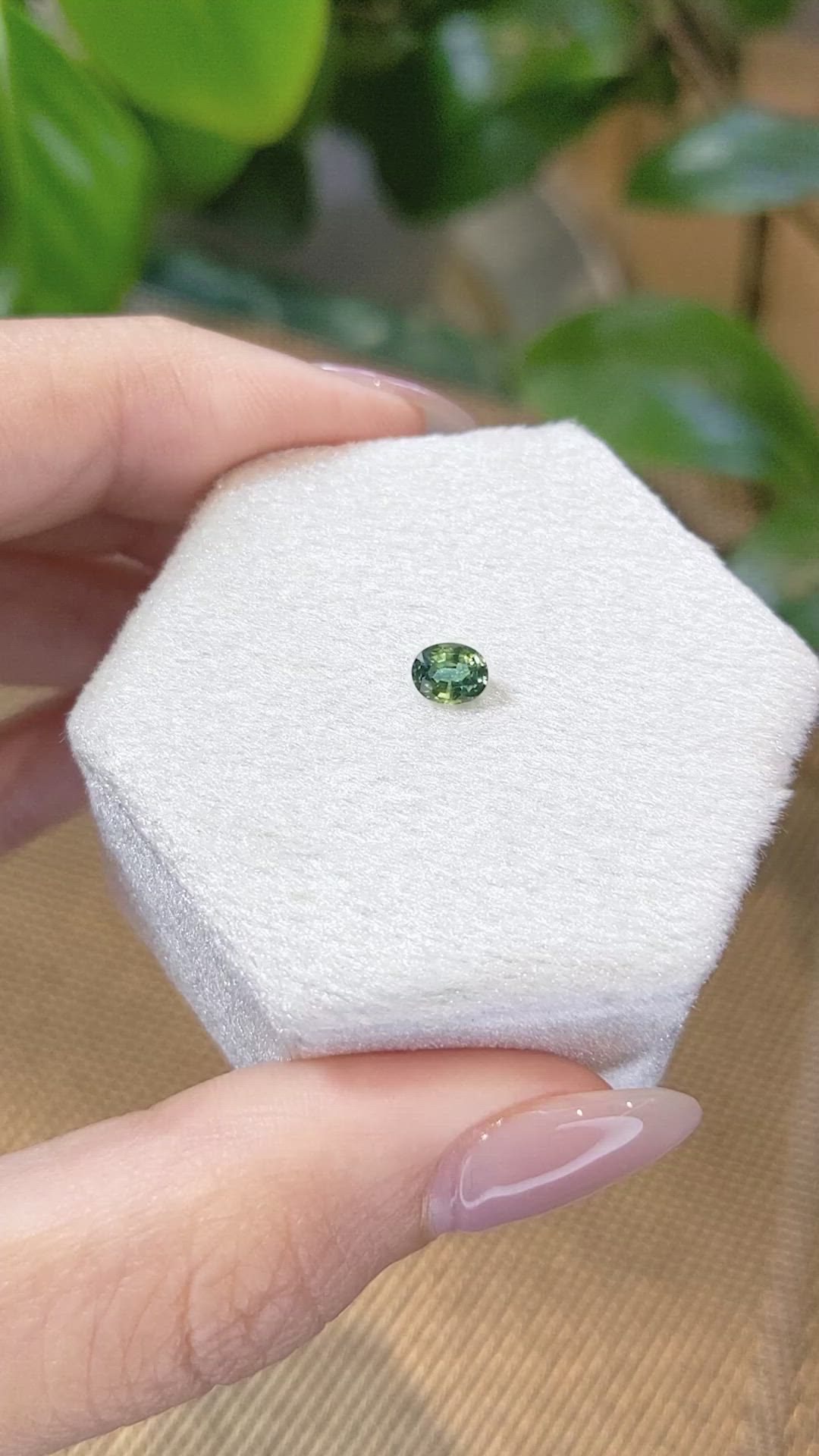 0.43 Ct. Bi Color Sapphire from Thailand Size Video