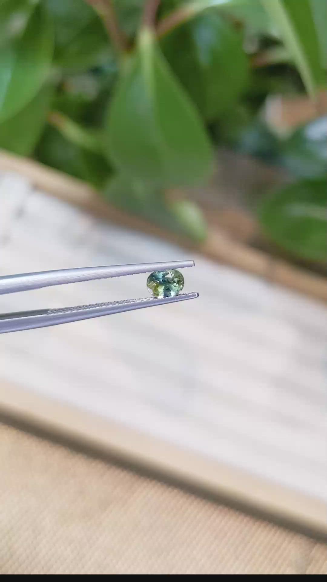 0.53 Ct. Bi Color Sapphire from Thailand Size Video