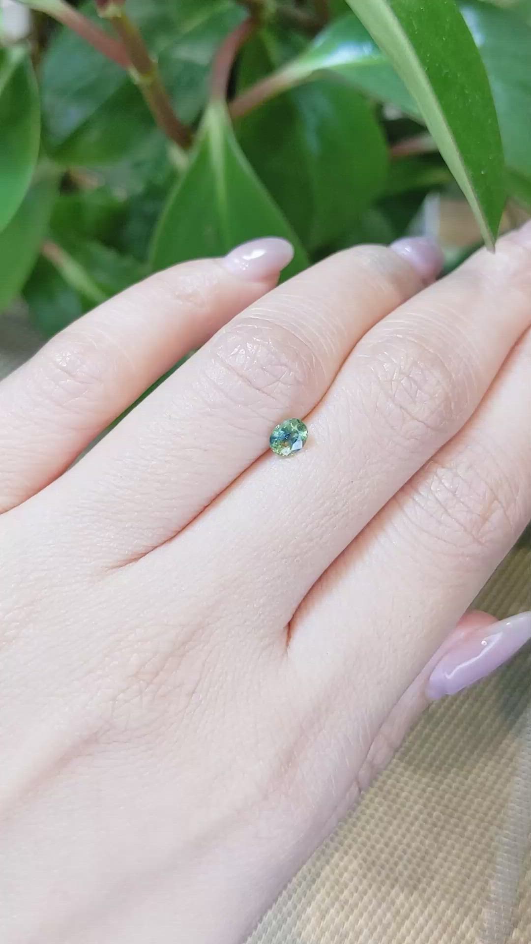 0.53 Ct. Bi Color Sapphire from Thailand Size Video