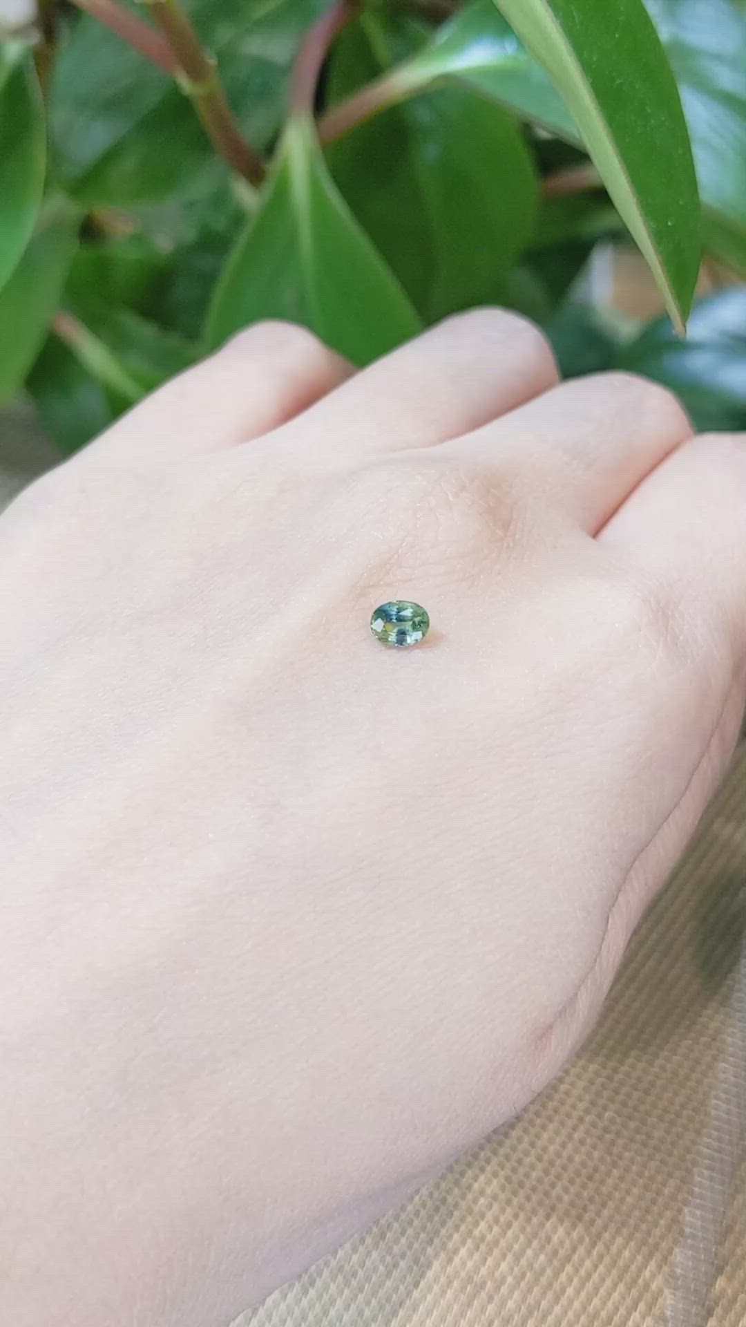 0.53 Ct. Bi Color Sapphire from Thailand Size Video