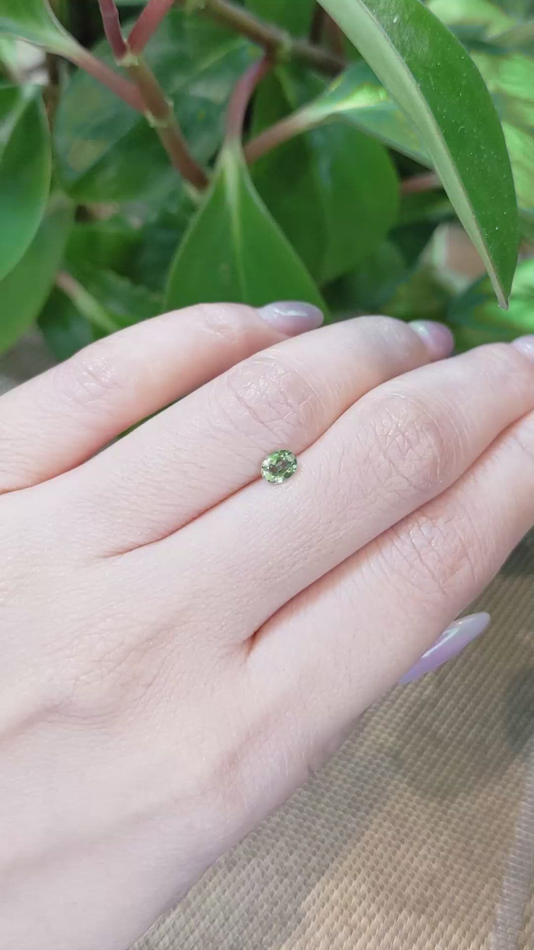 0.47 Ct. Yellowish Green Sapphire from Thailand Size Video