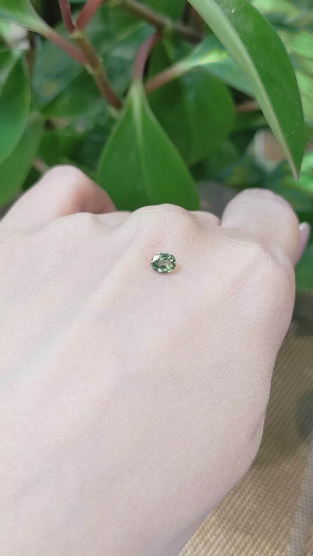 0.47 Ct. Yellowish Green Sapphire from Thailand Size Video