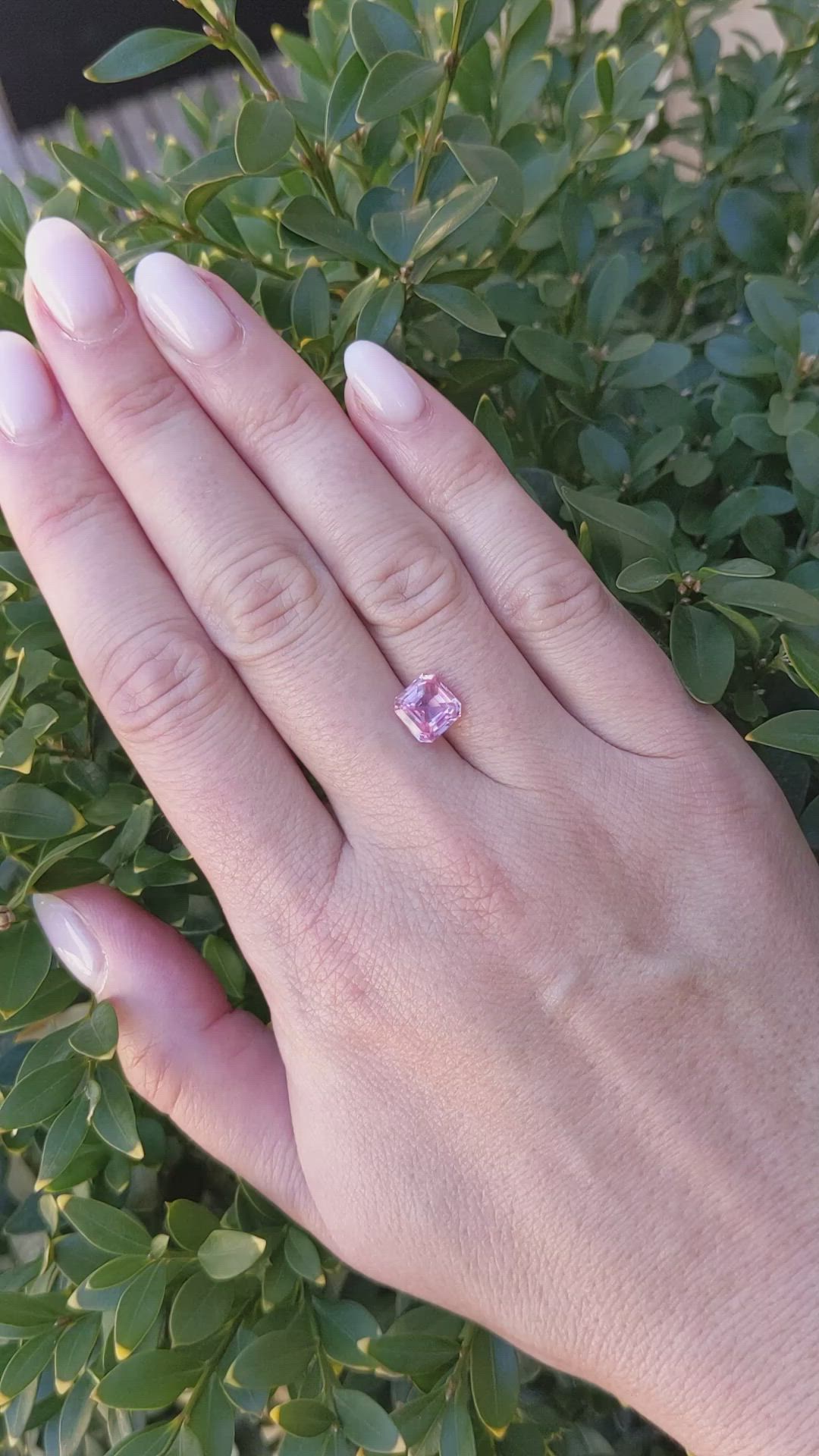 2.52 Ct. Pink Sapphire from Ceylon (Sri Lanka) Size Video