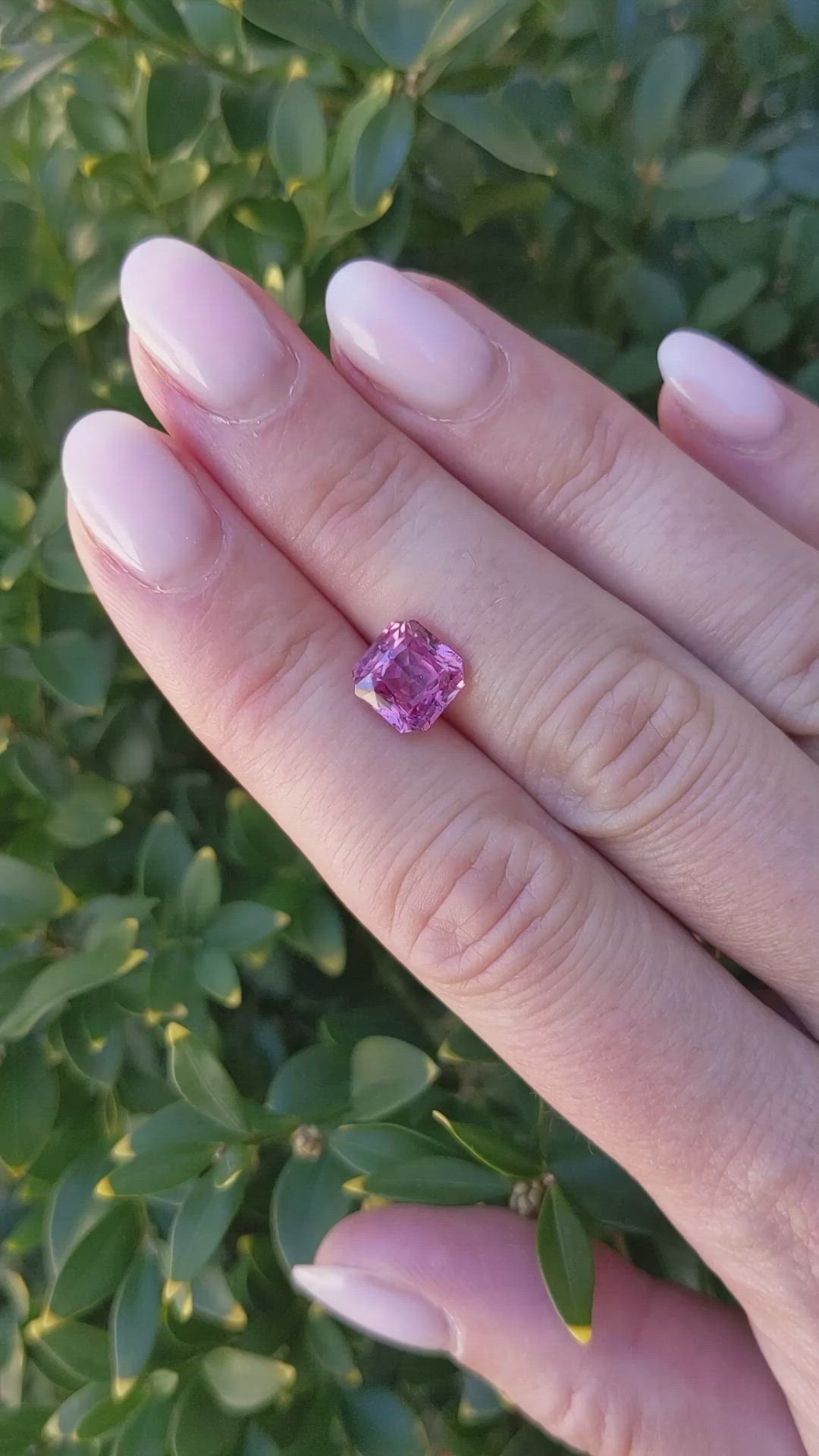 3.08 Ct. Pink Sapphire from Ceylon (Sri Lanka) Size Video