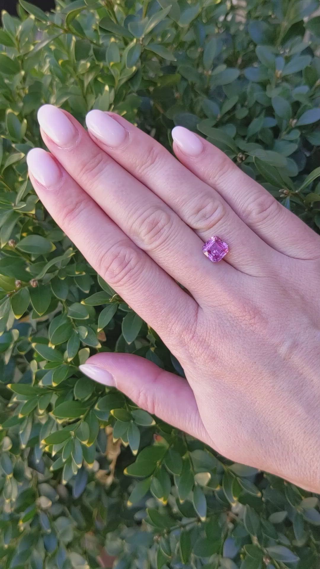 3.08 Ct. Pink Sapphire from Ceylon (Sri Lanka) Size Video