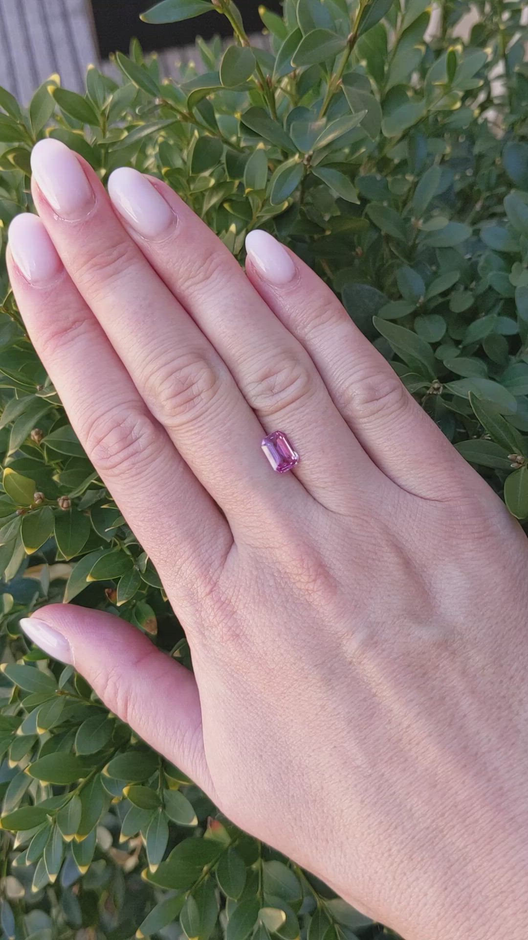 1.52 Ct. Pink Sapphire from Ceylon (Sri Lanka) Size Video
