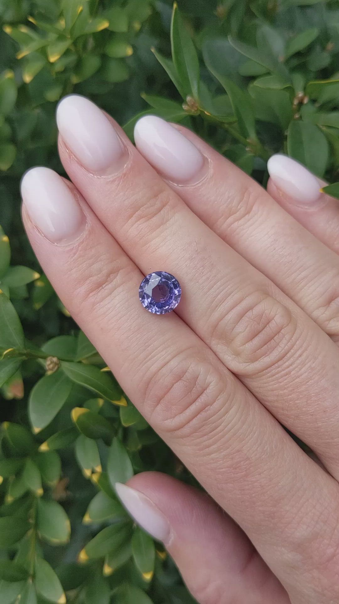 2.99 Ct. Bluish Purple Sapphire from Ceylon (Sri Lanka) Size Video