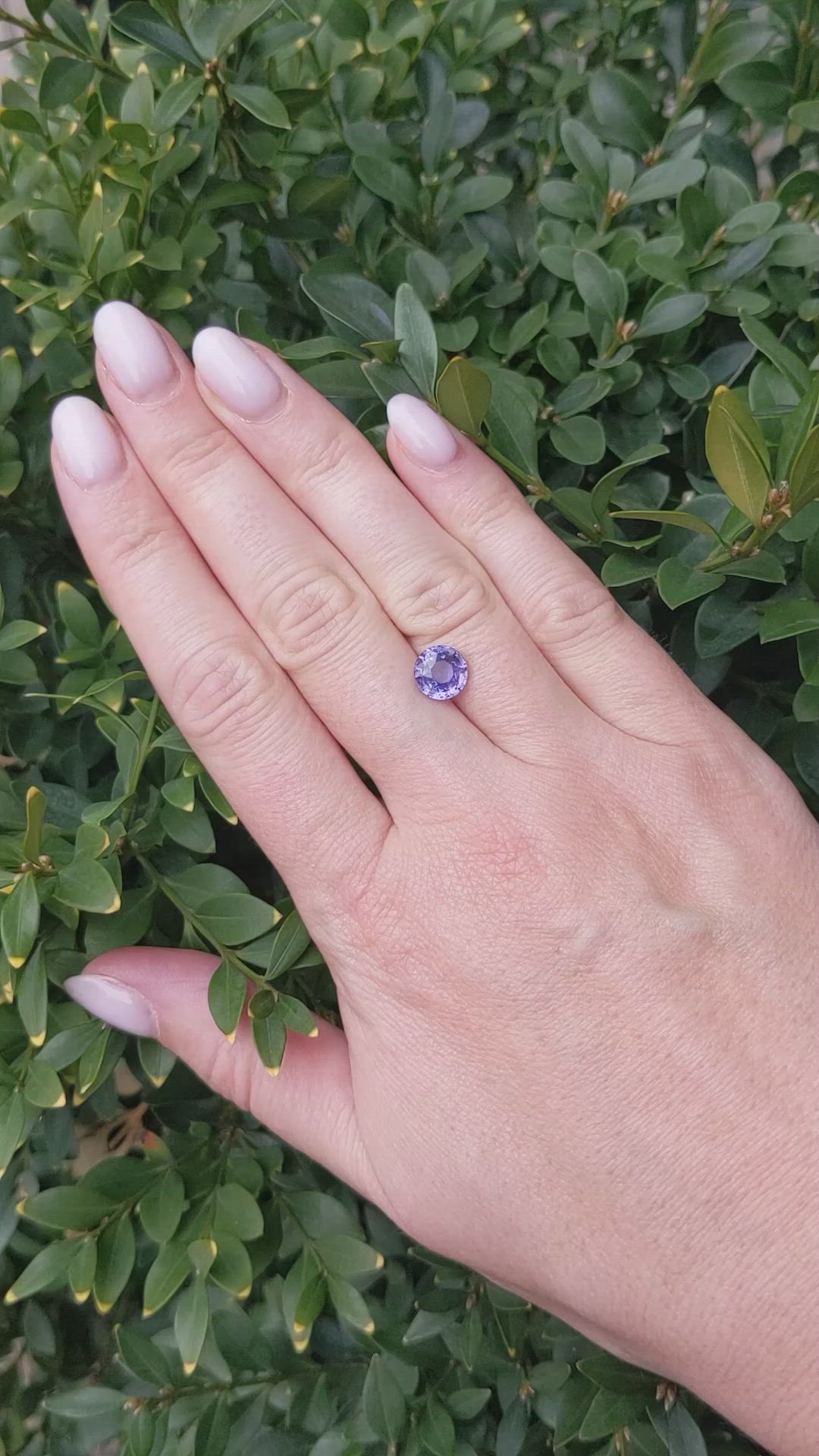 2.99 Ct. Bluish Purple Sapphire from Ceylon (Sri Lanka) Size Video